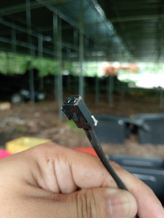 Chevrolet Trailblazer | 2006 | Trunk Switch