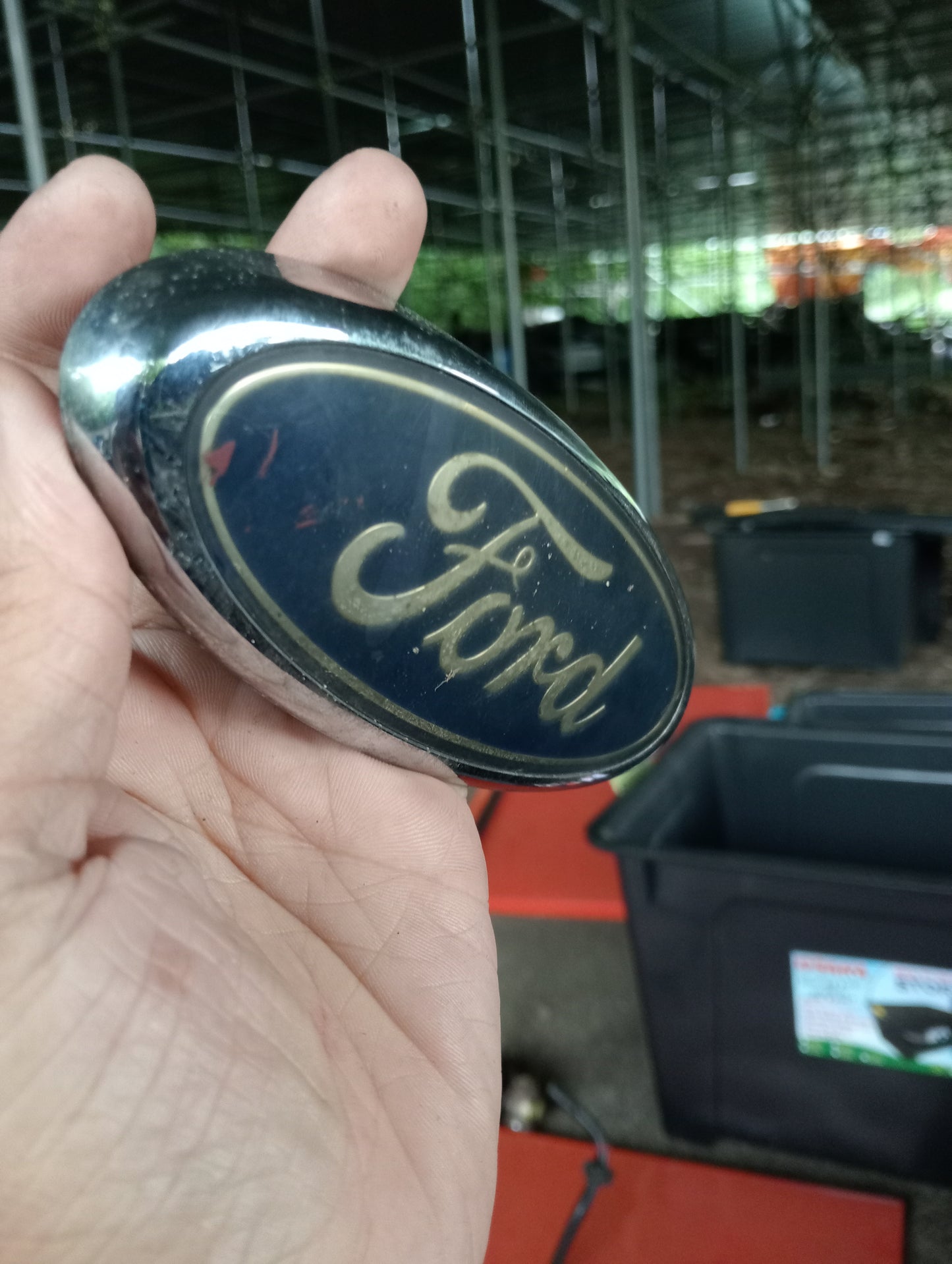 Ford Focus | Front Emblem