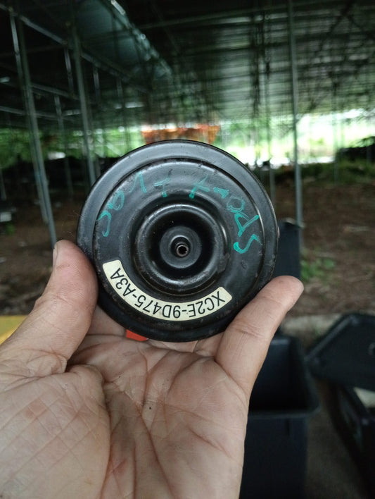 Ford Explorer | Sport Trac | EGR Valve