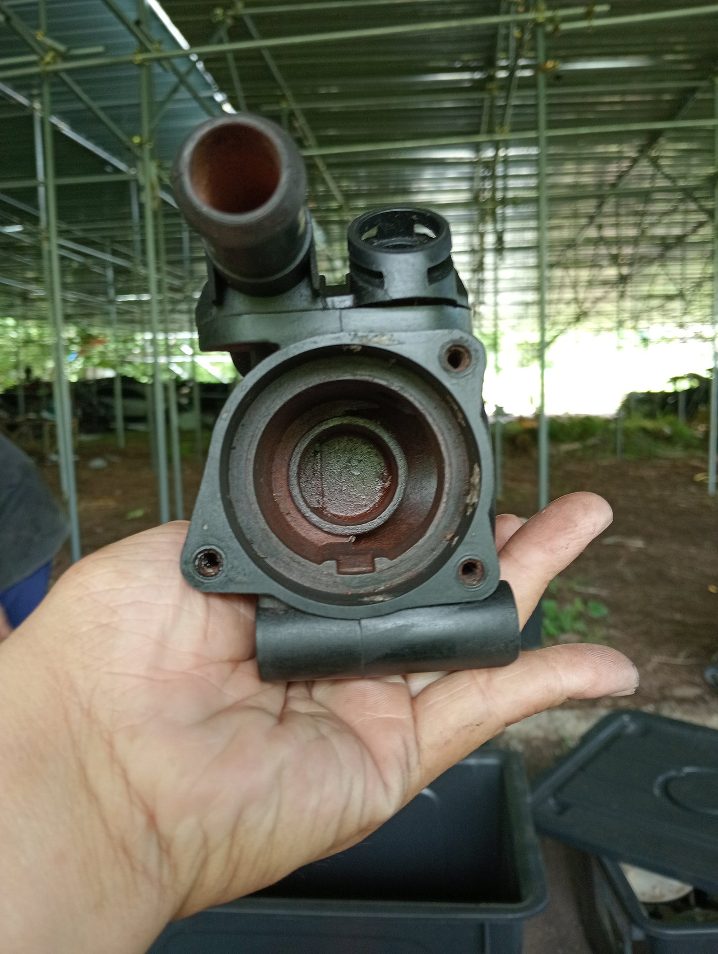 Ford Ecosport | 1.5 | Thermostat Housing