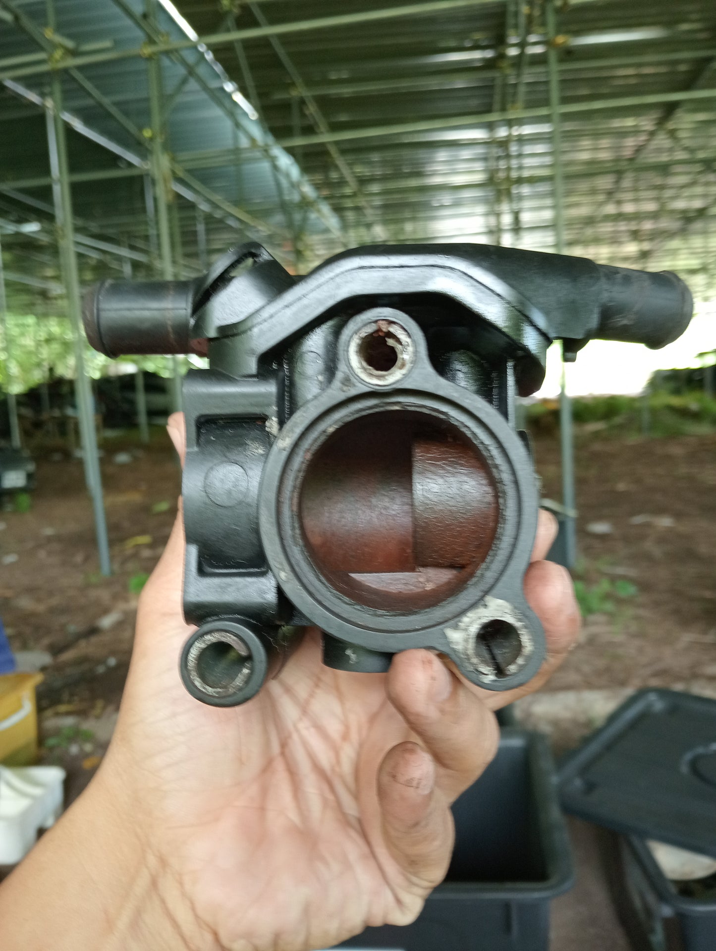 Ford Ecosport | 1.5 | Thermostat Housing