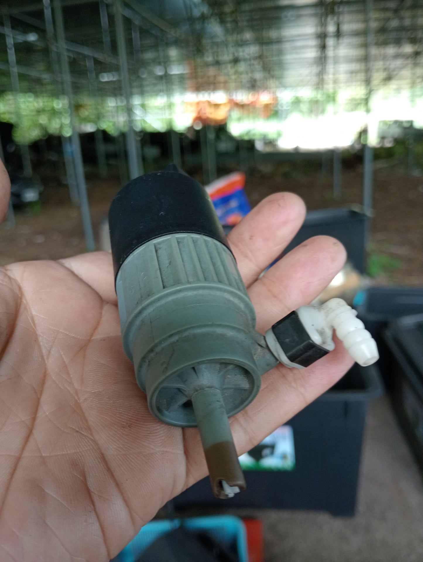 Ford Focus | Washer Tank Motor