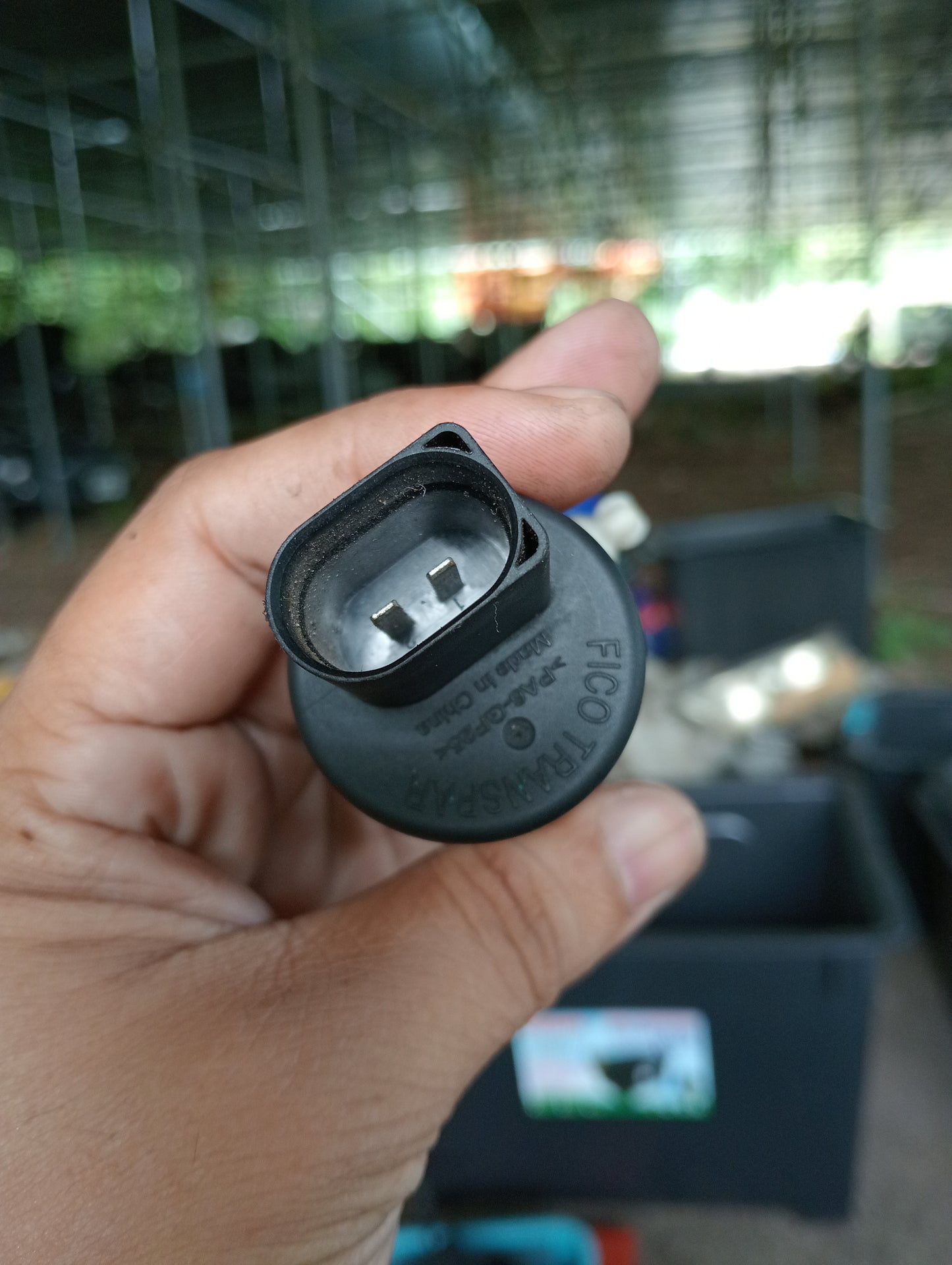 Ford Focus | Washer Tank Motor