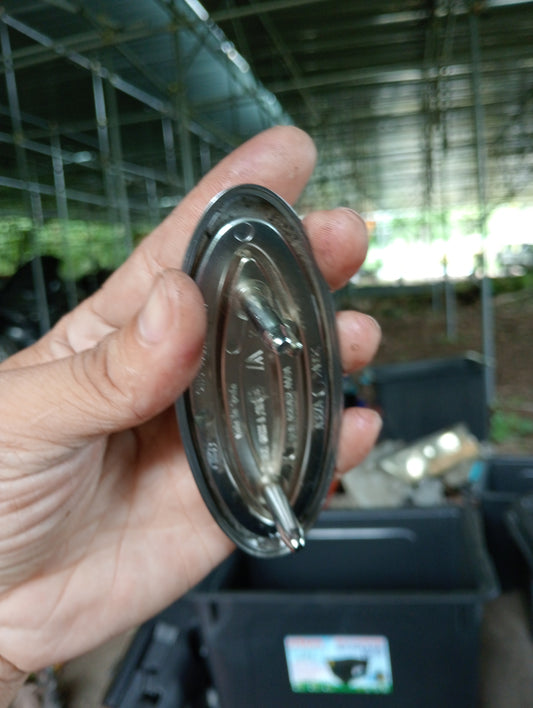 Ford Ecosport | 1.5 | Rear Emblem