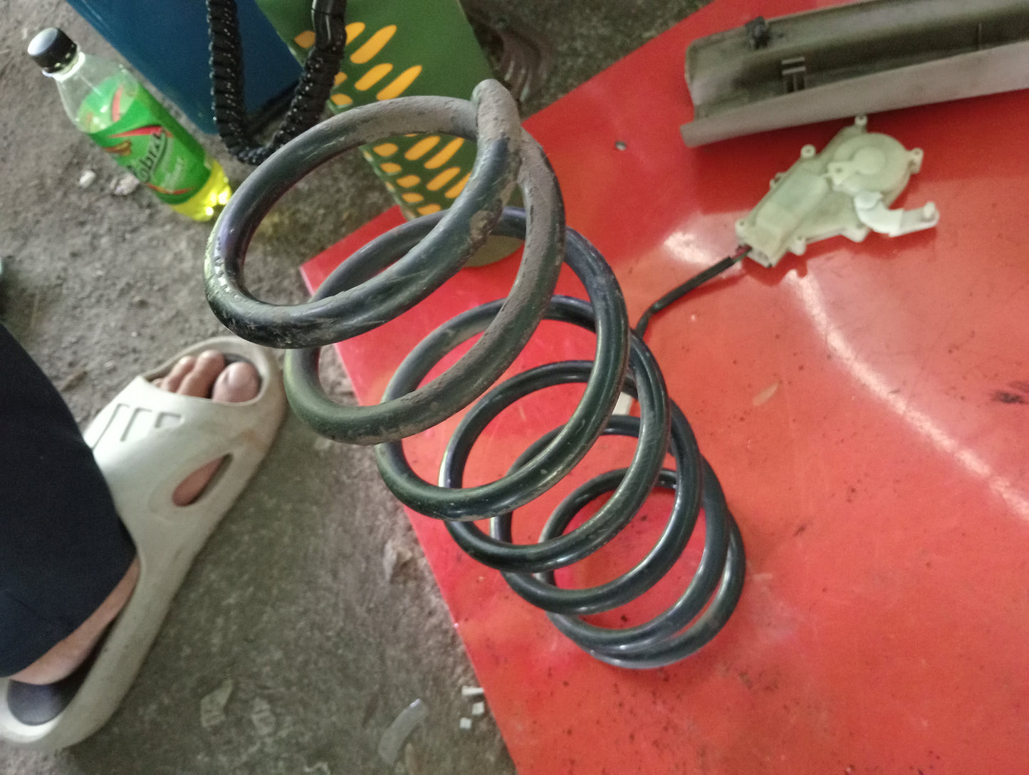 Nissan Exalta | Front Coil Spring