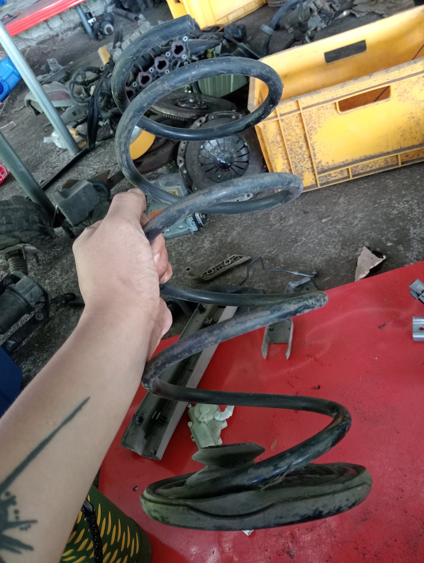 Nissan Exalta | Rear Coil Spring With Mounting