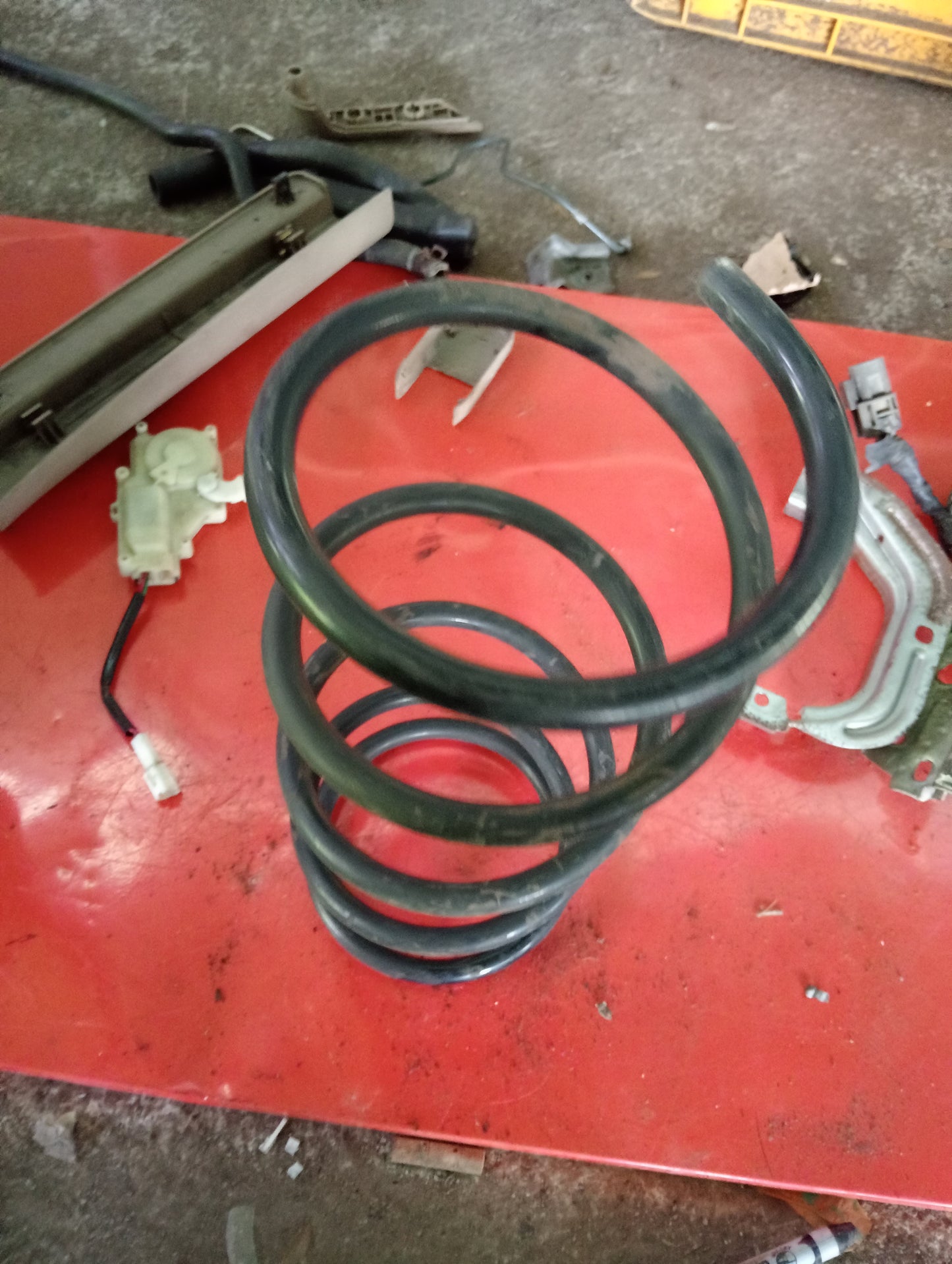 Nissan Exalta | Rear Coil Spring