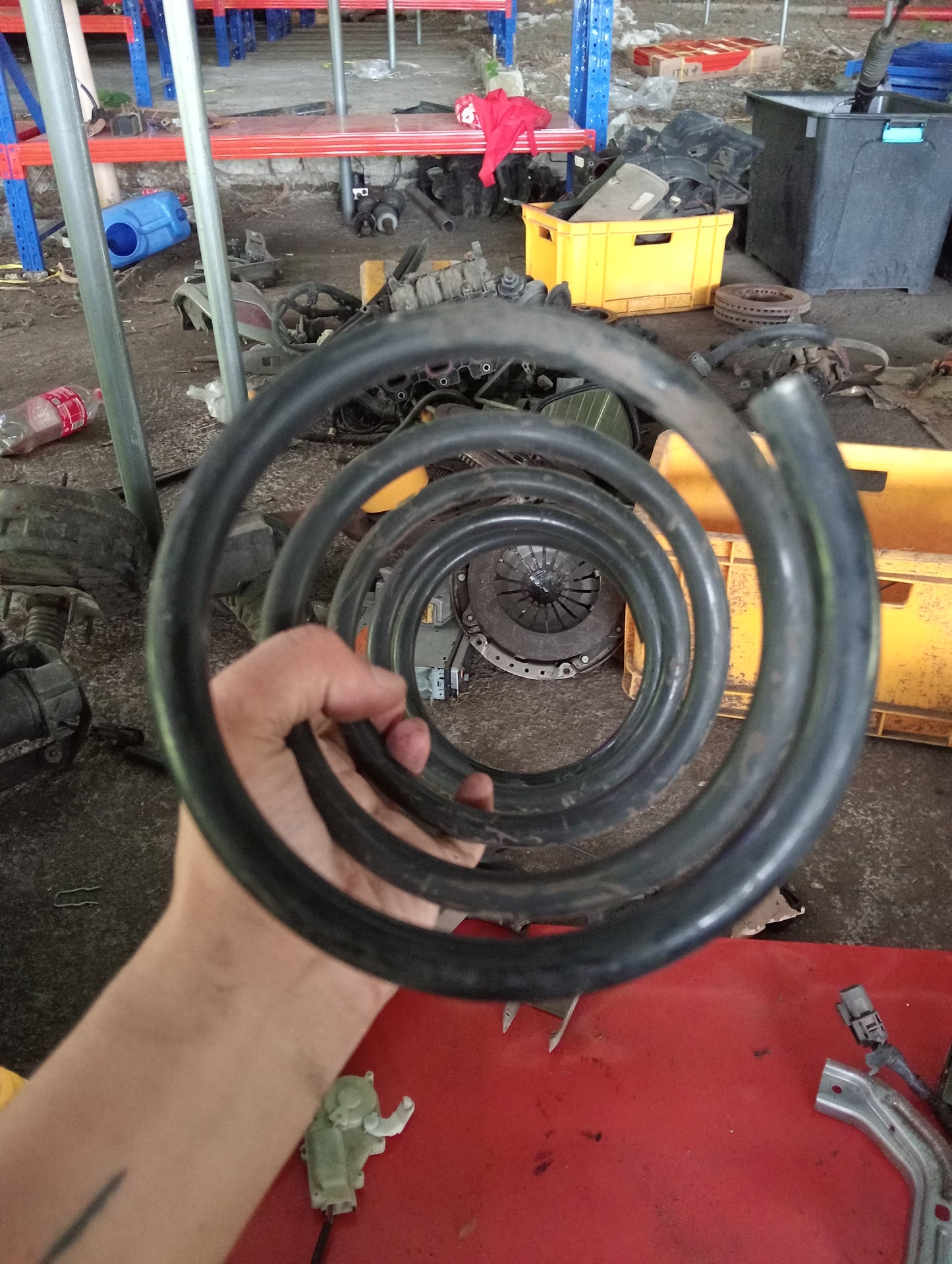 Nissan Exalta | Rear Coil Spring