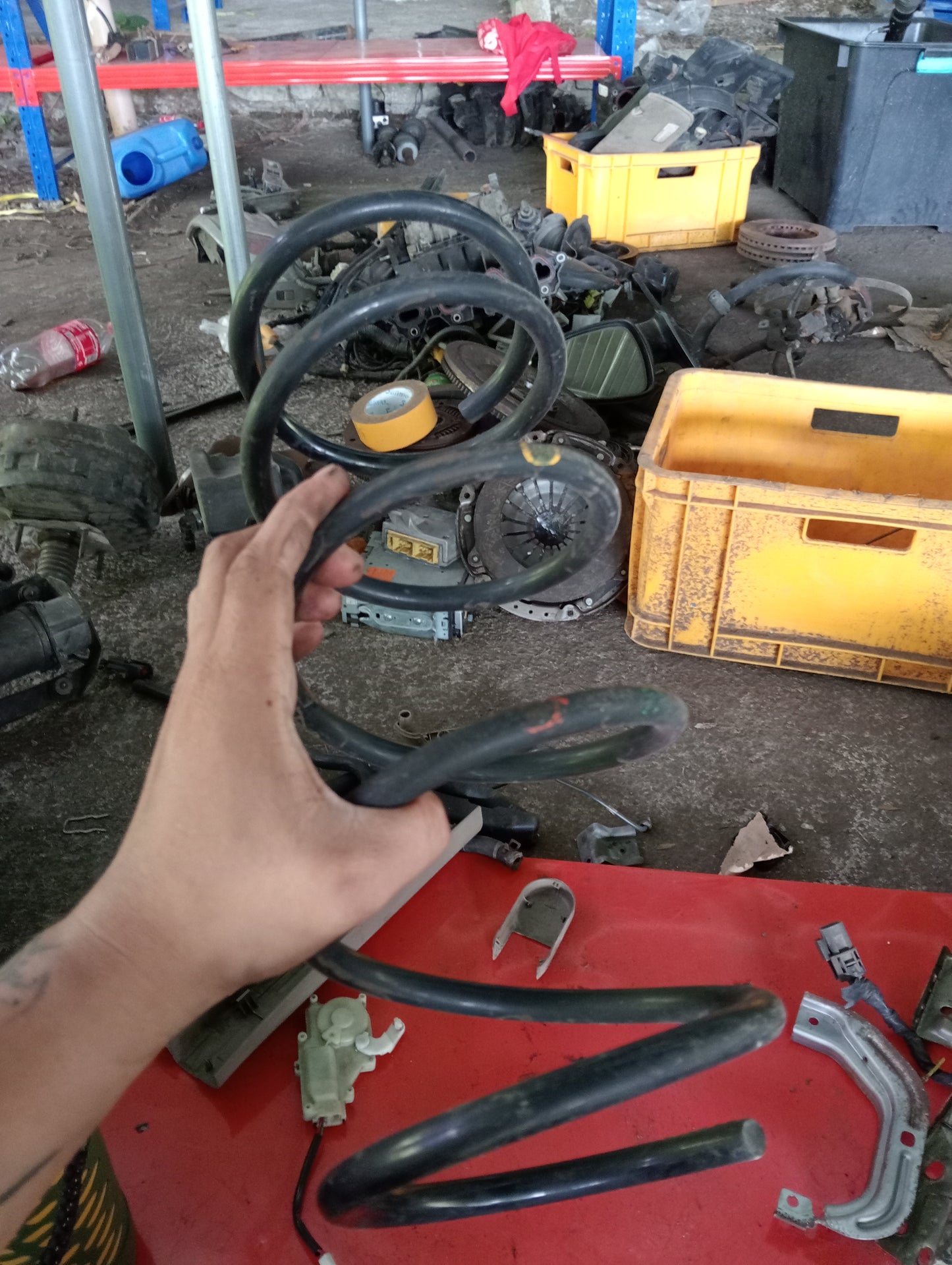 Nissan Exalta | Rear Coil Spring