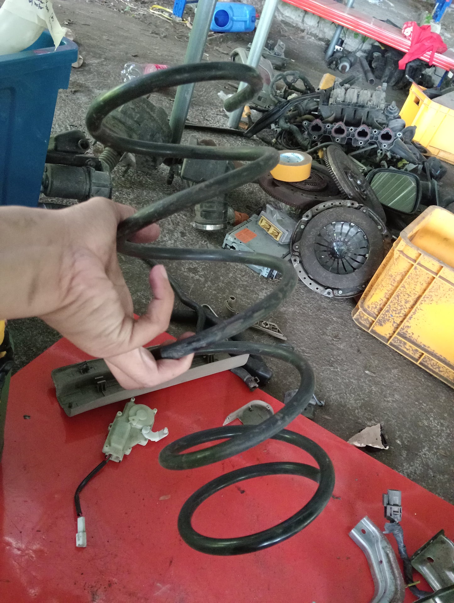 Nissan Exalta | Rear Coil Spring