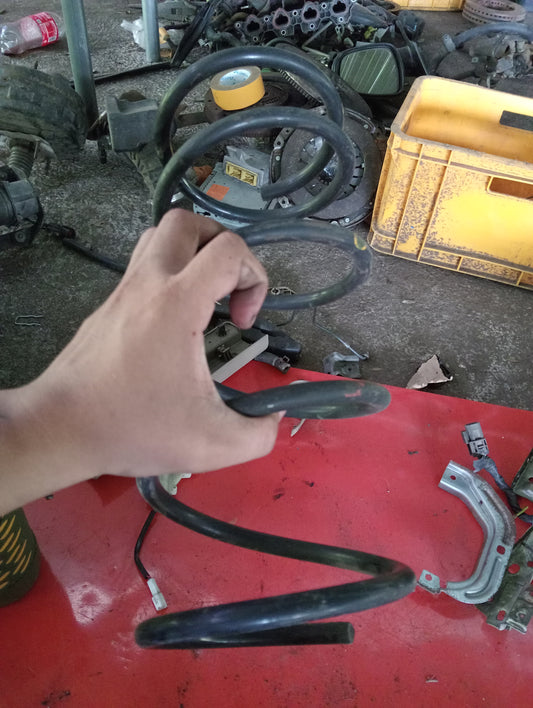 Nissan Exalta | Rear Coil Spring