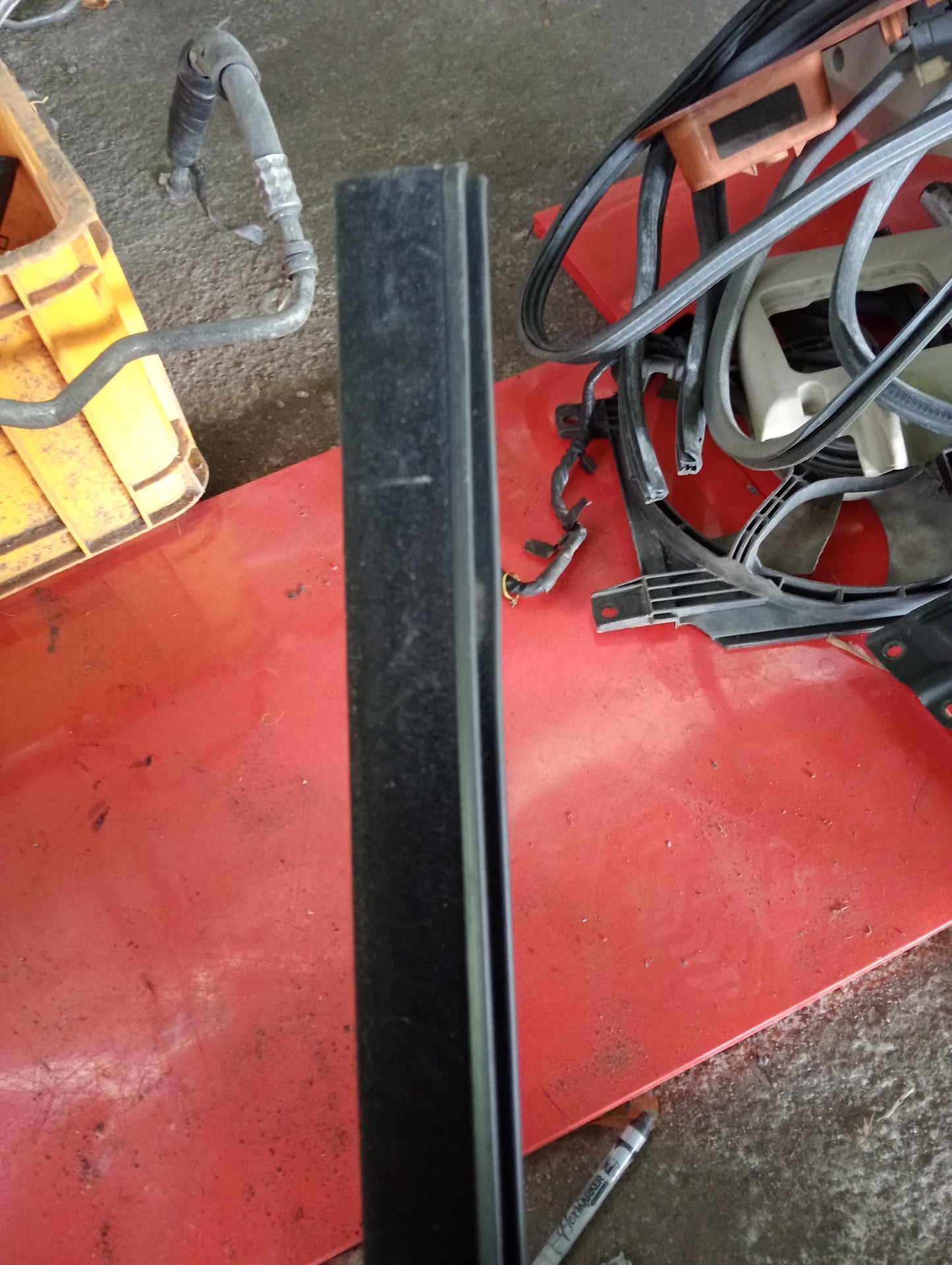 Nissan Exalta | Weather Strip
