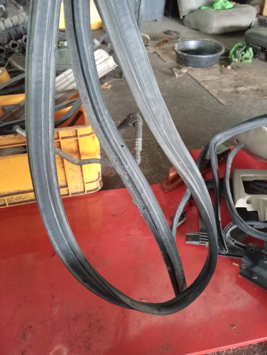 Nissan Exalta | Door Rubber Mouldings