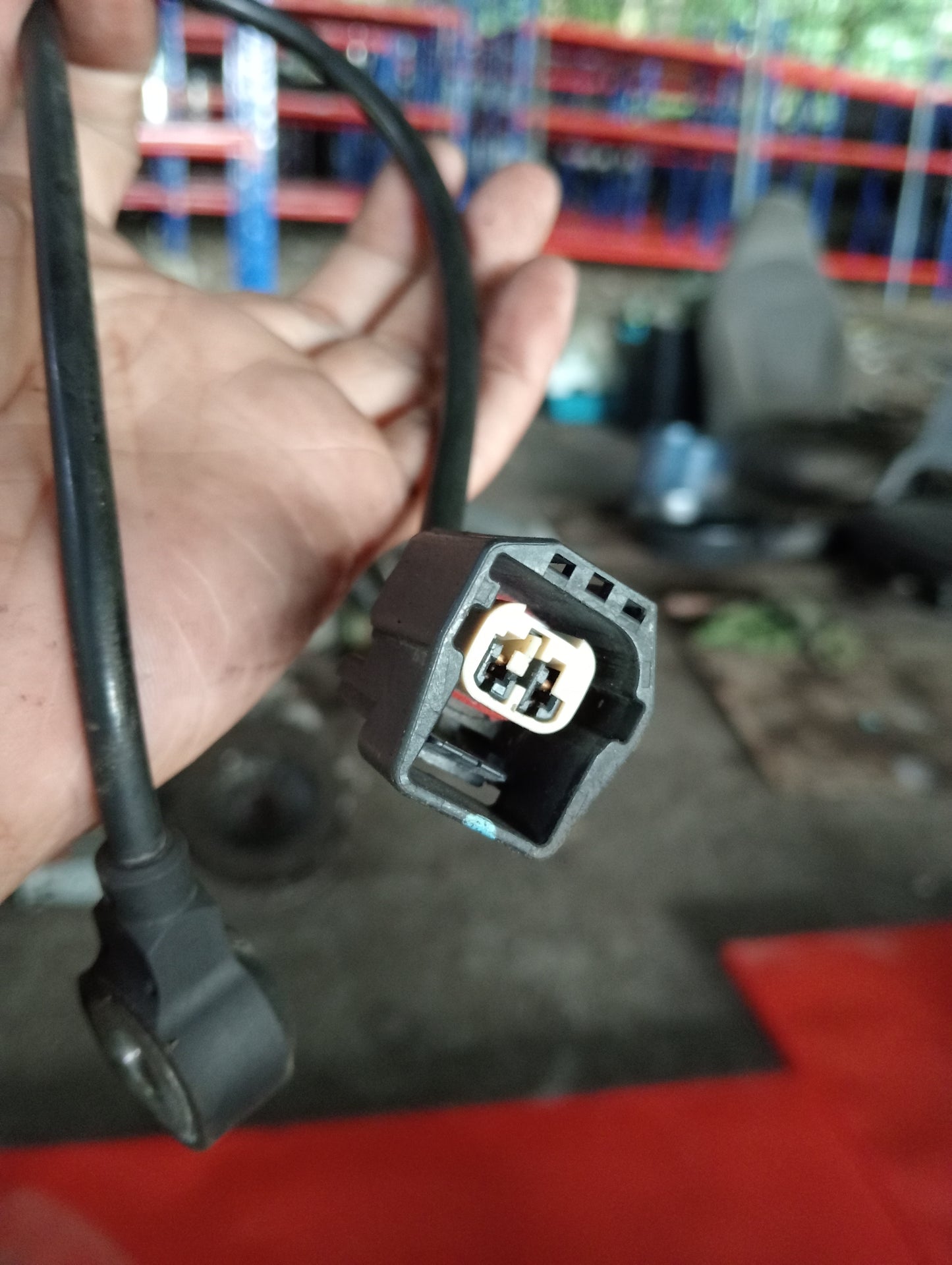 Ford Ecosport | Titanium | Knock Sensor