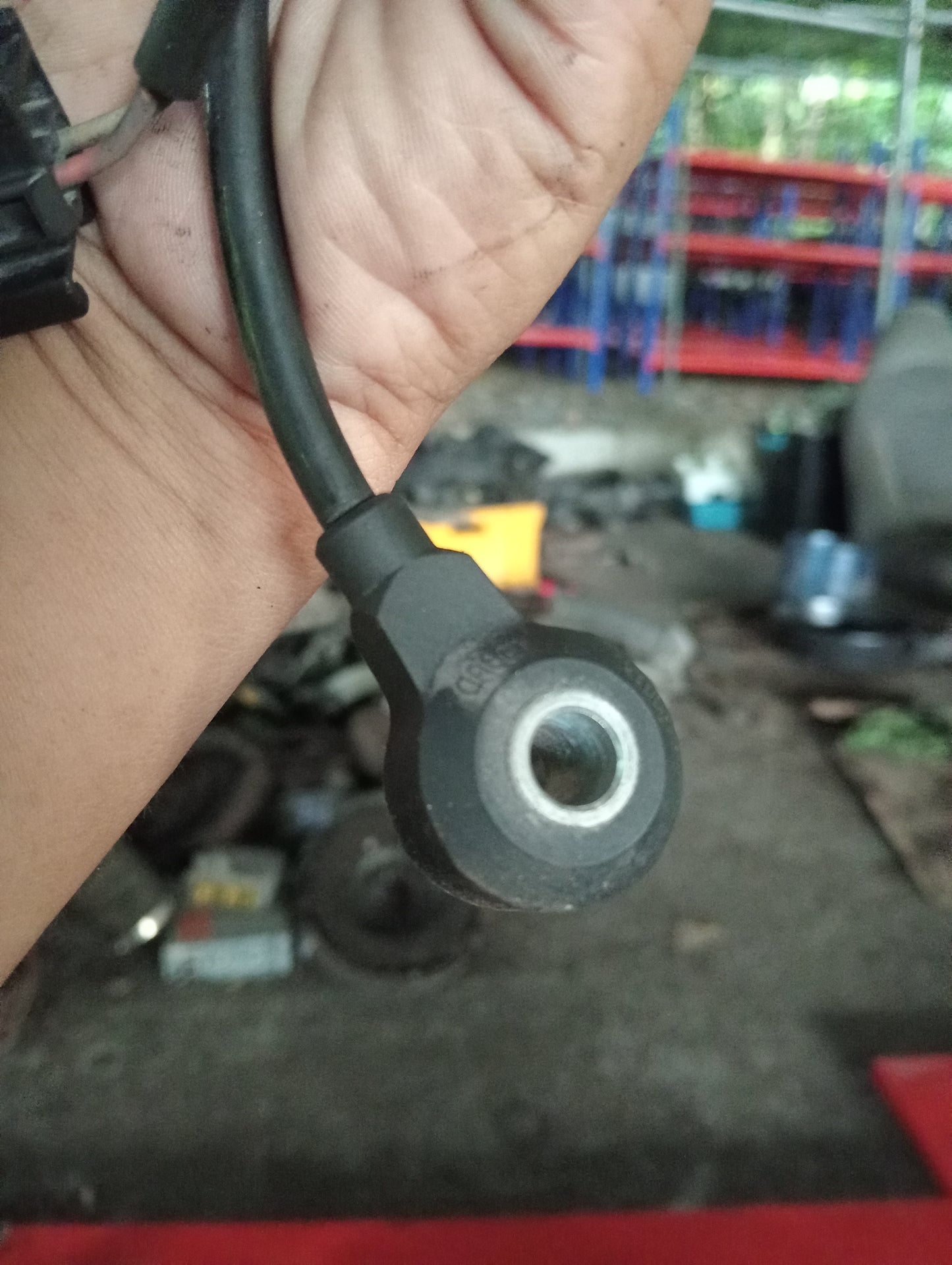 Ford Ecosport | Titanium | Knock Sensor