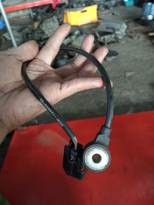 Ford Ecosport | Titanium | Knock Sensor