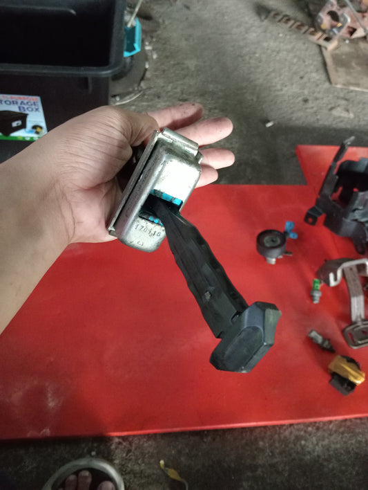 Ford Ecosport | Titanium | Door Hinge