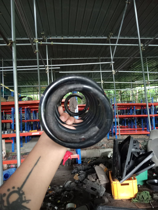 Ford Ecosport | Titanium | 1pc Rear Coil Spring