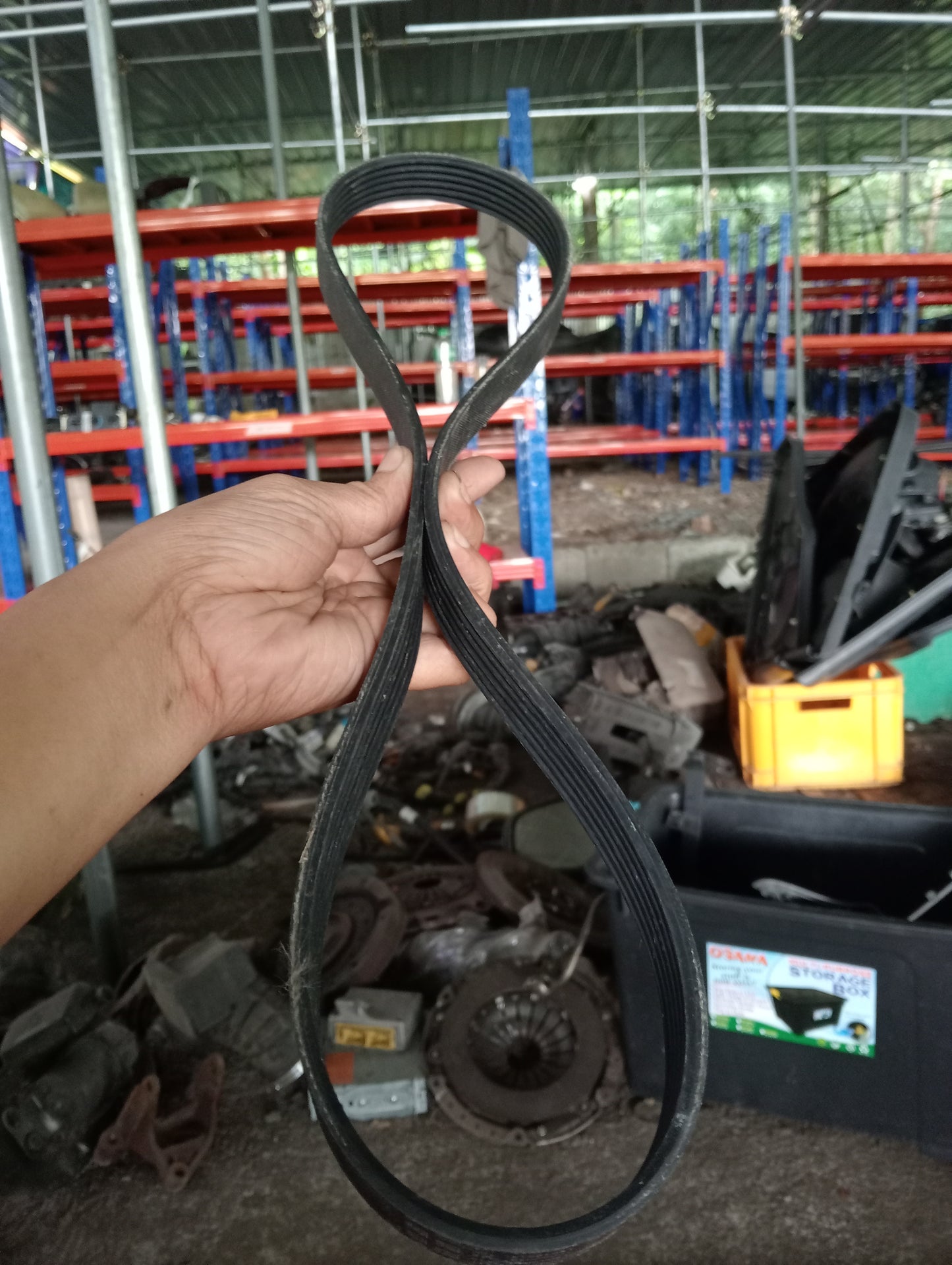 Ford Ecosport | Titanium | Drive Belt
