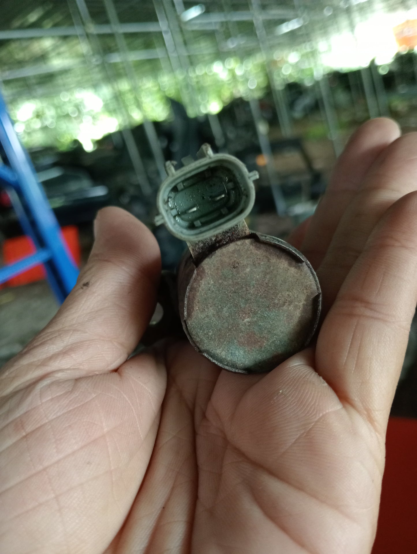 Ford Explorer | Eddie Bauer | VVTI Solenoid