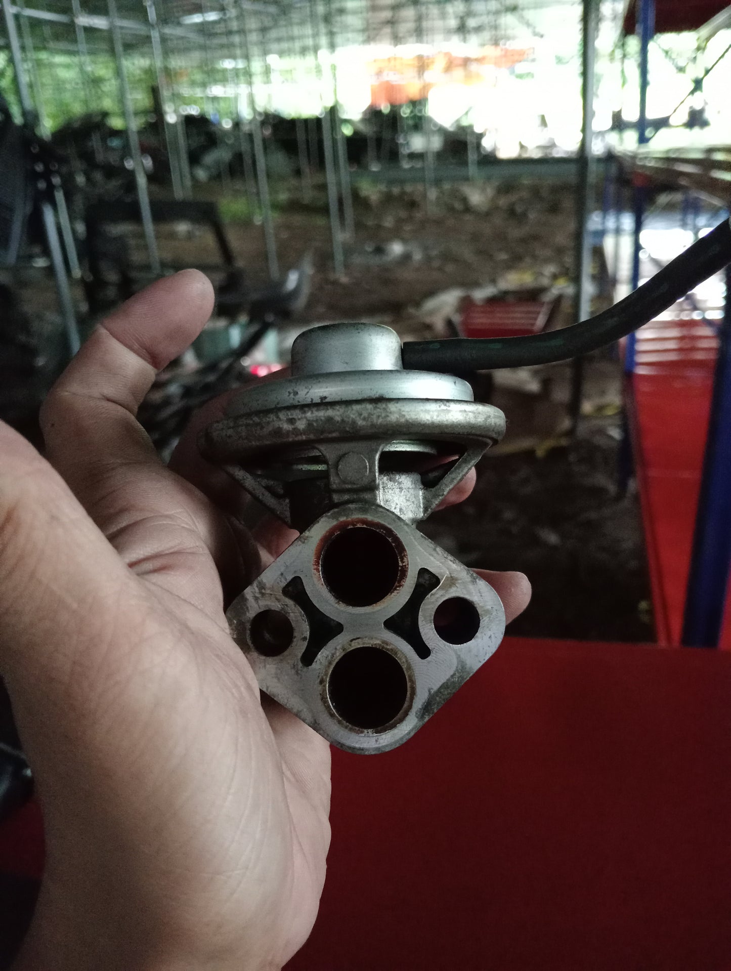 Mitsubishi | Cedia | EGR Valve