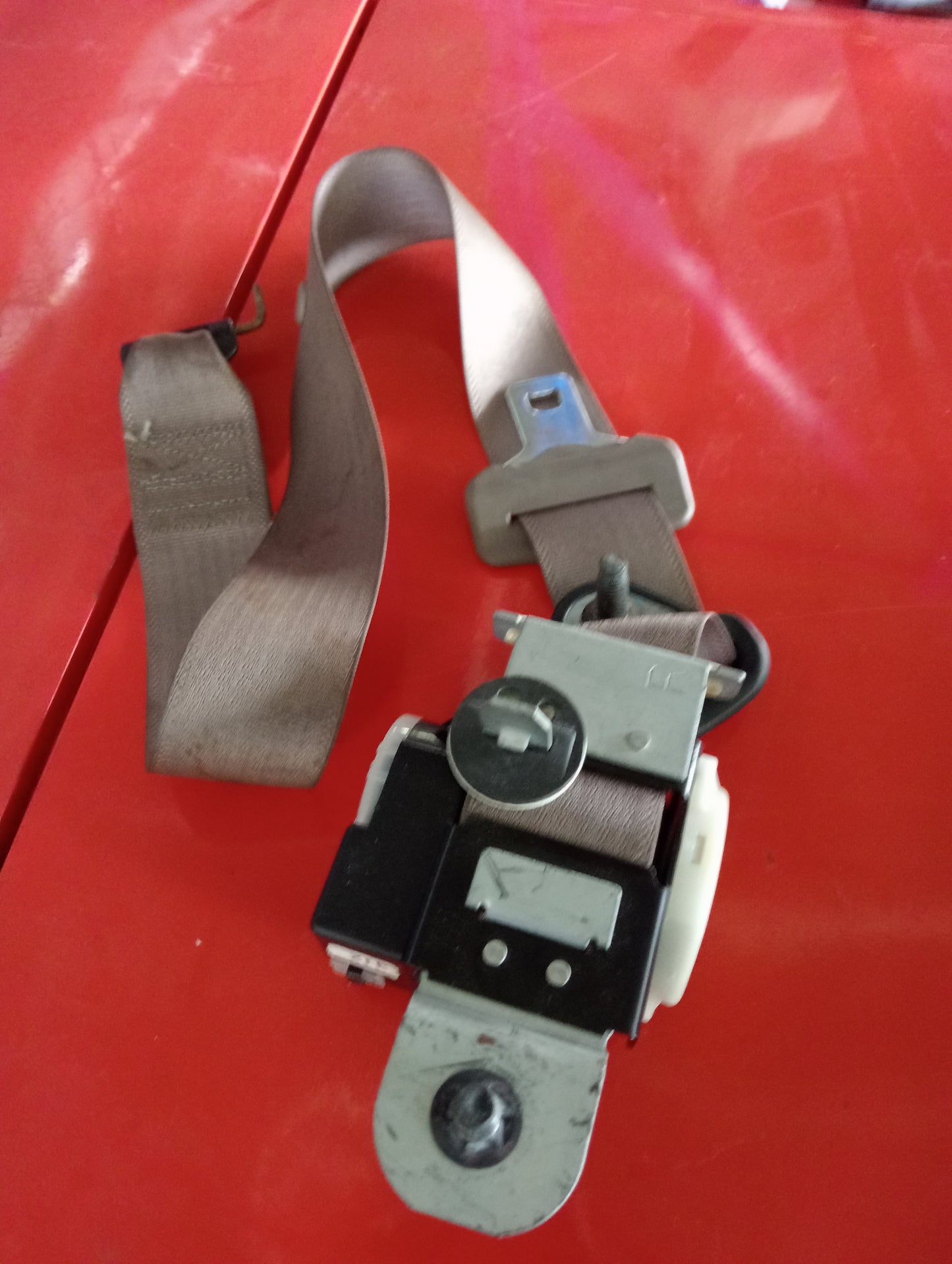 Ford Explorer | Eddie Bauer | Maroon | Seat belt rear passenger side