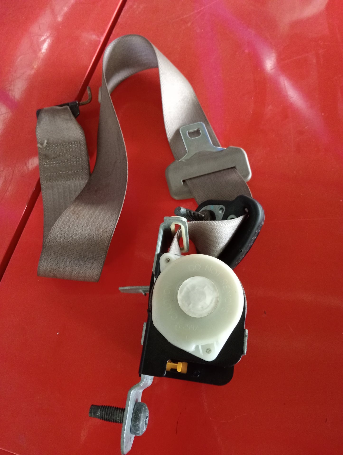 Ford Explorer | Eddie Bauer | Maroon | Seat belt rear passenger side