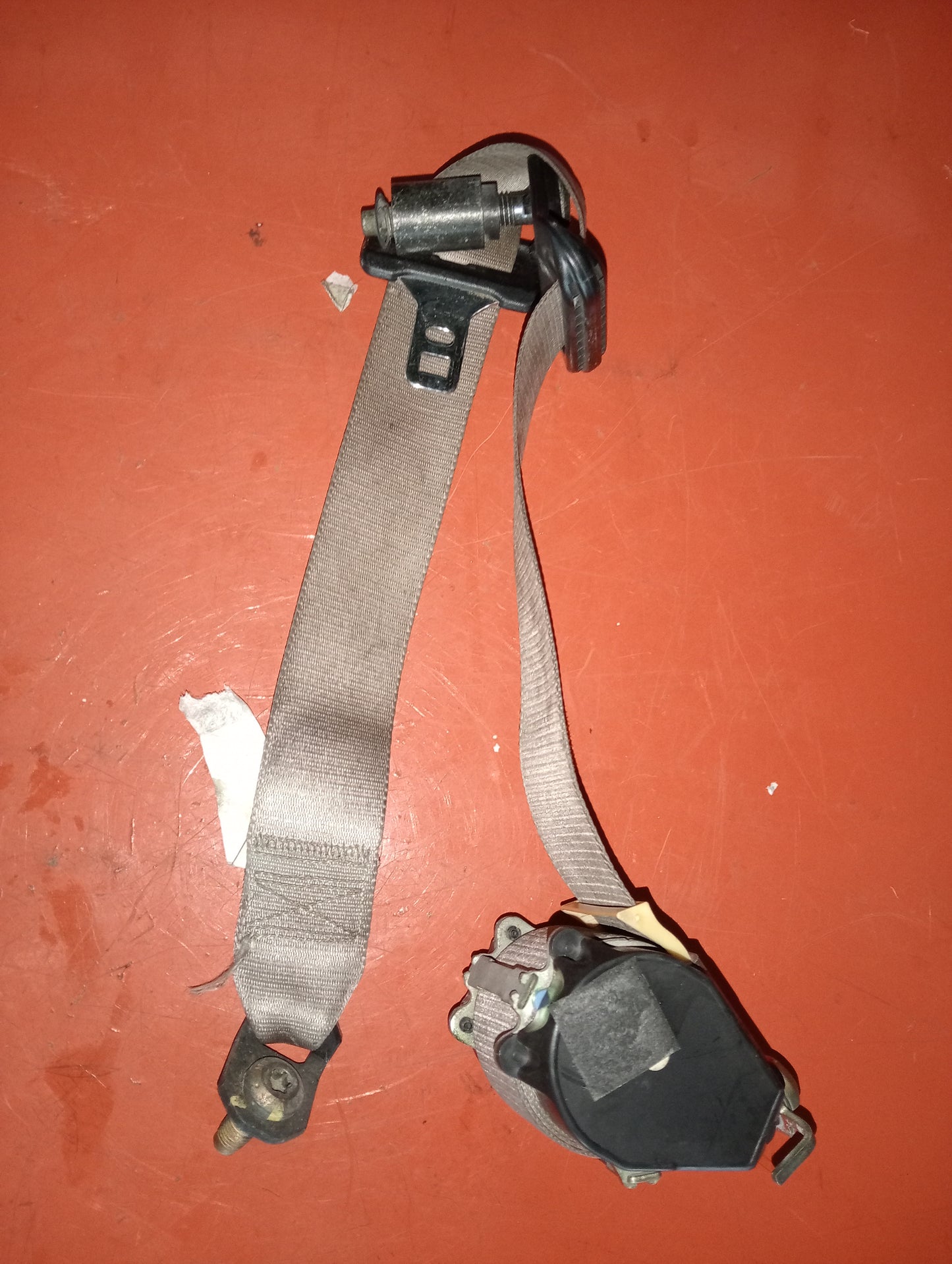 Escape 2.0 | Seat | Belt | Rear | Driver | Side