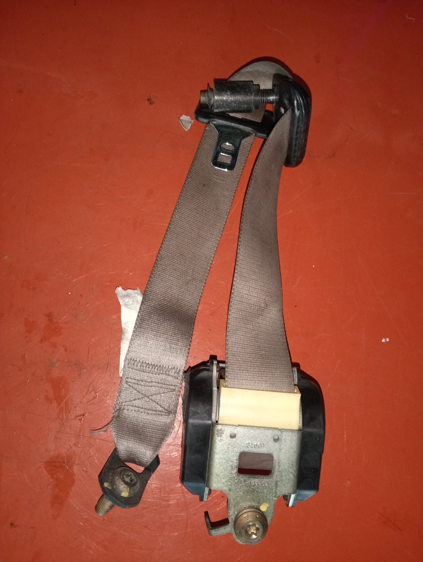 Escape 2.0 | Seat | Belt | Rear | Driver | Side