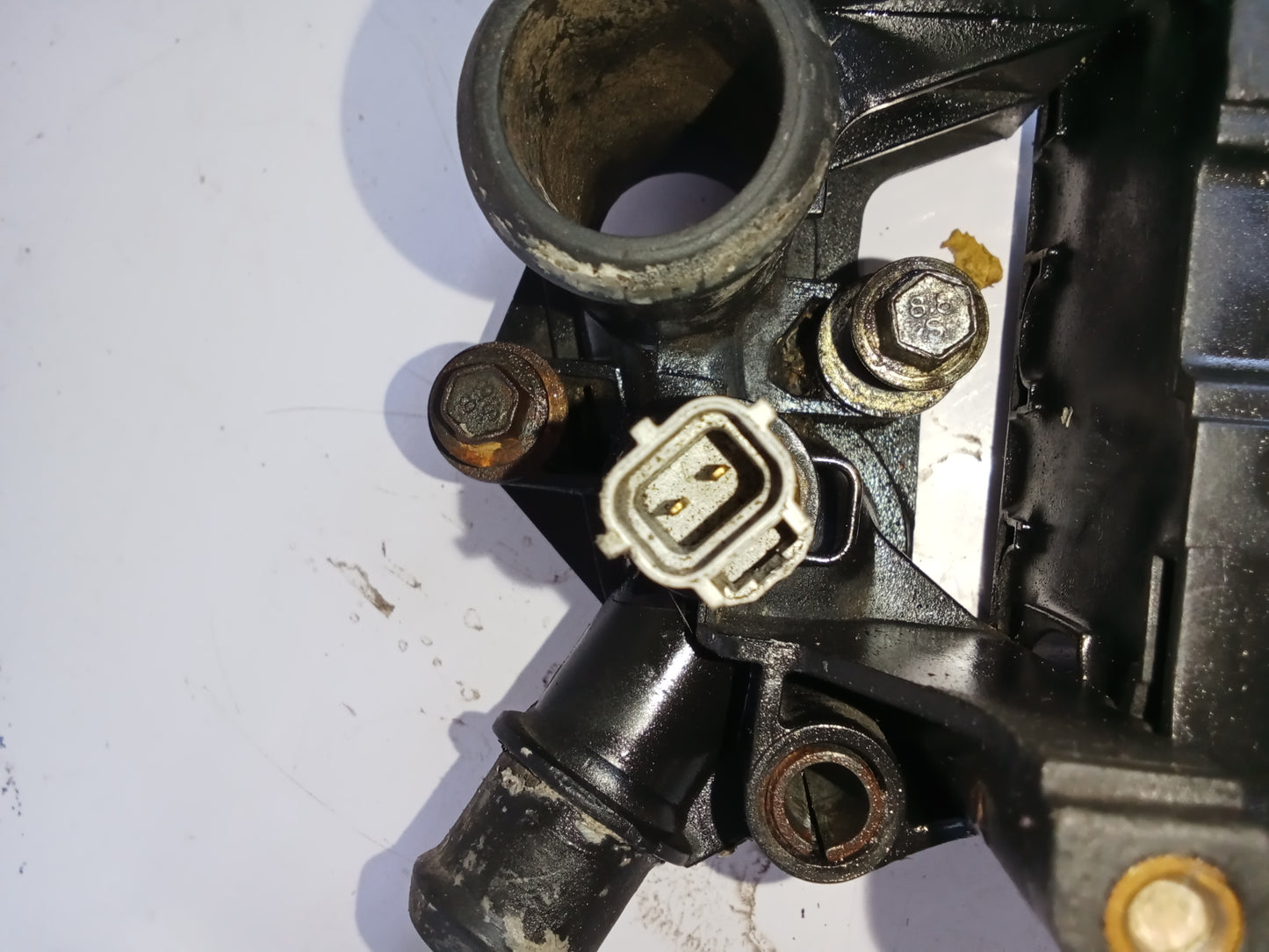 Coil Pack w Thermostat Housing| Ford Fiesta 1.4