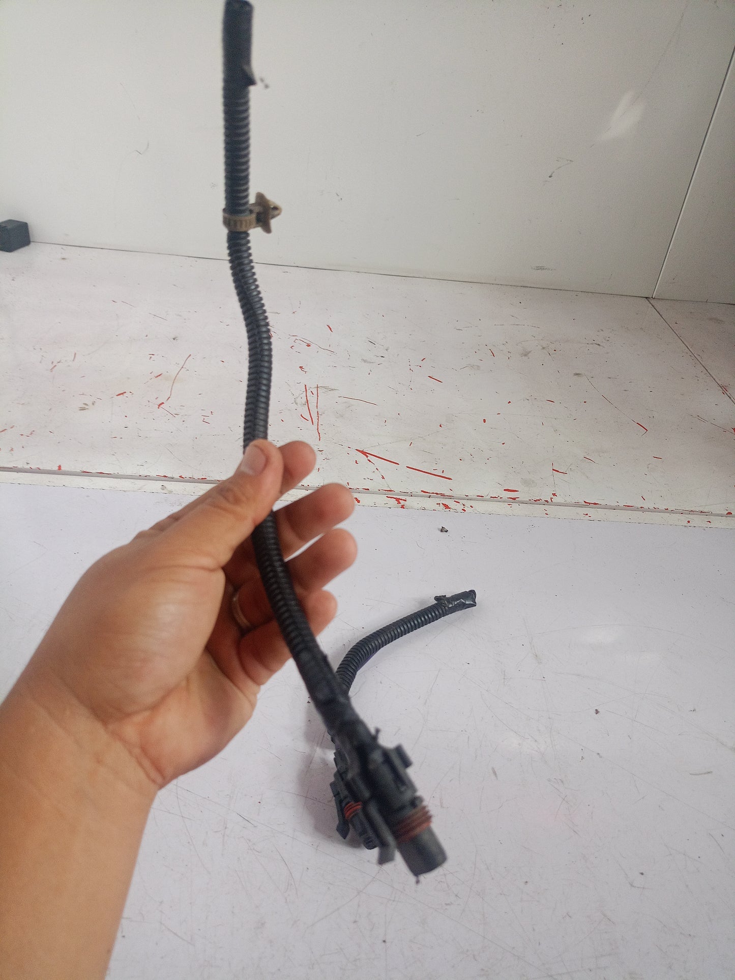 Fog Light Socket | Chevrolet Optra Wagon