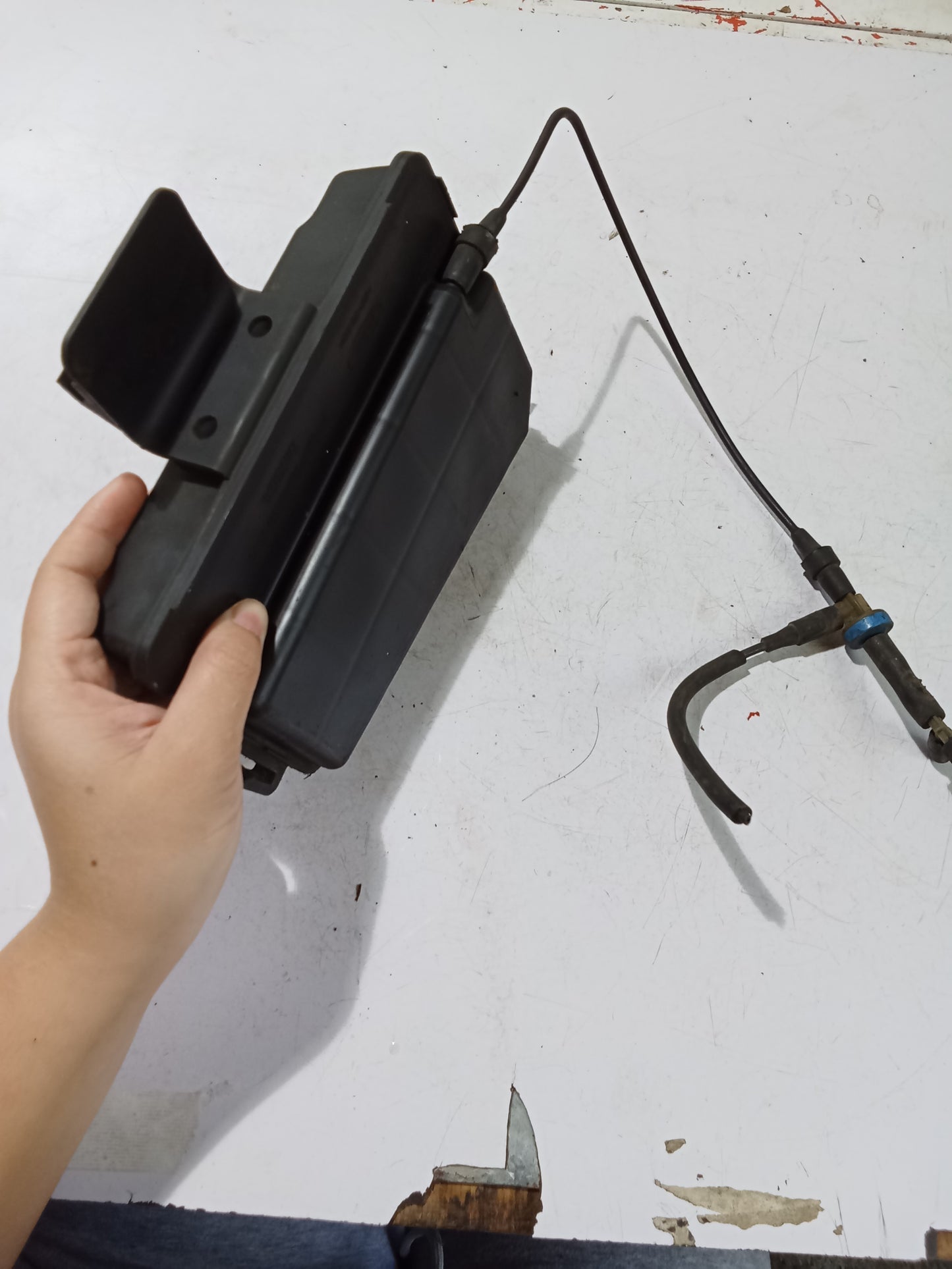 Vacuum Canister | Ford Expedition