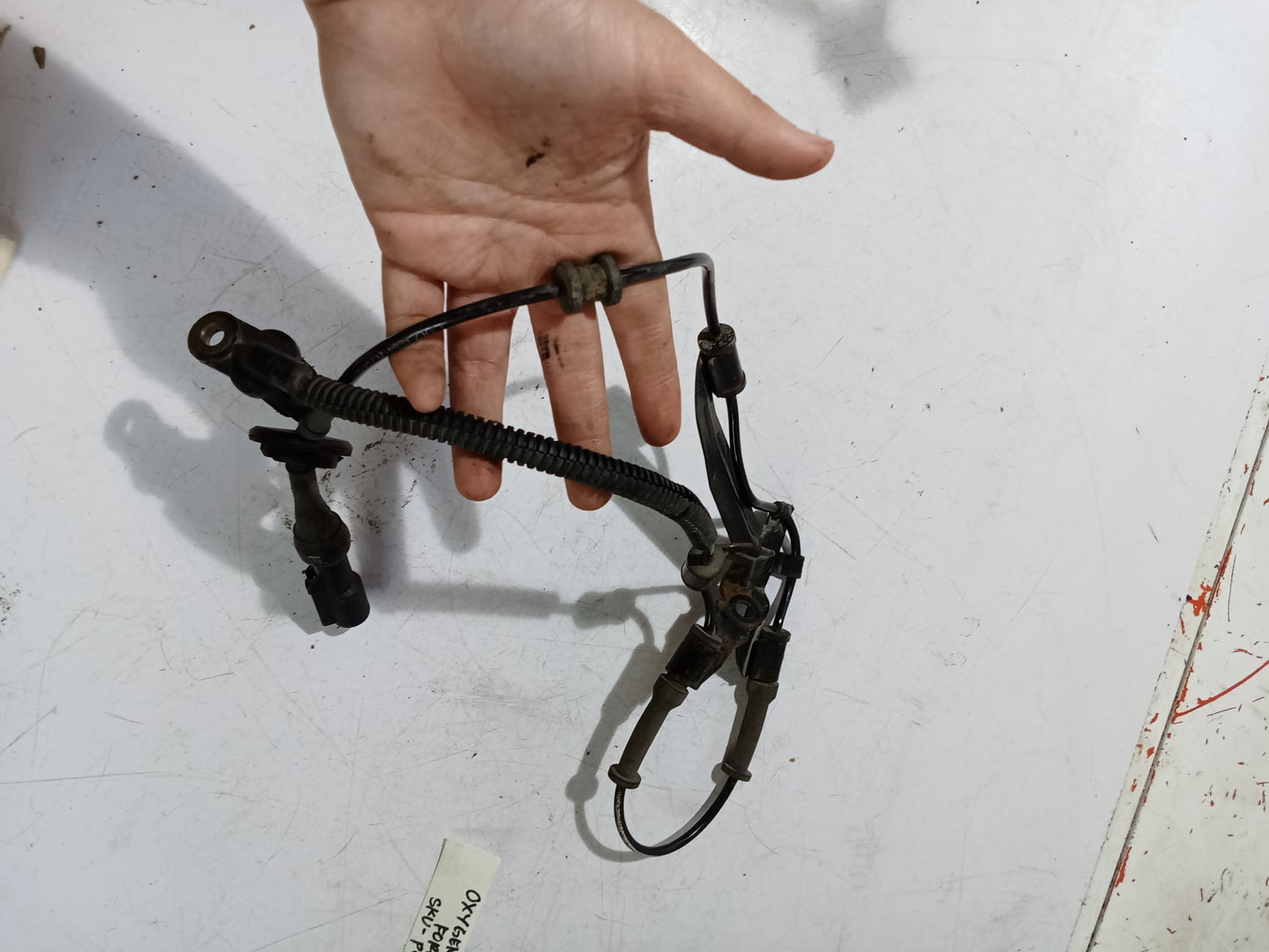 ABS Wheel Speed Sensor | Ford Escape 2.3