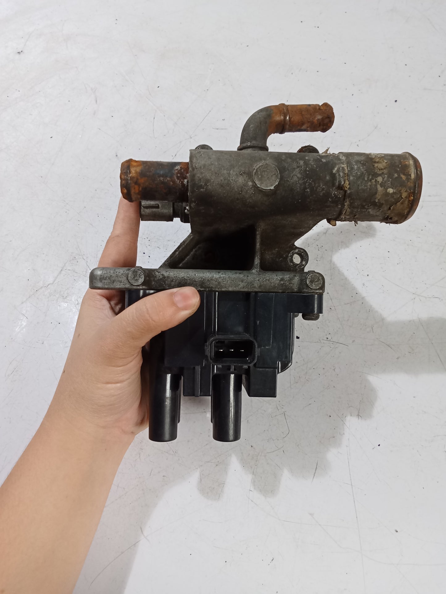 Thermostat Housing w/ Coilpack