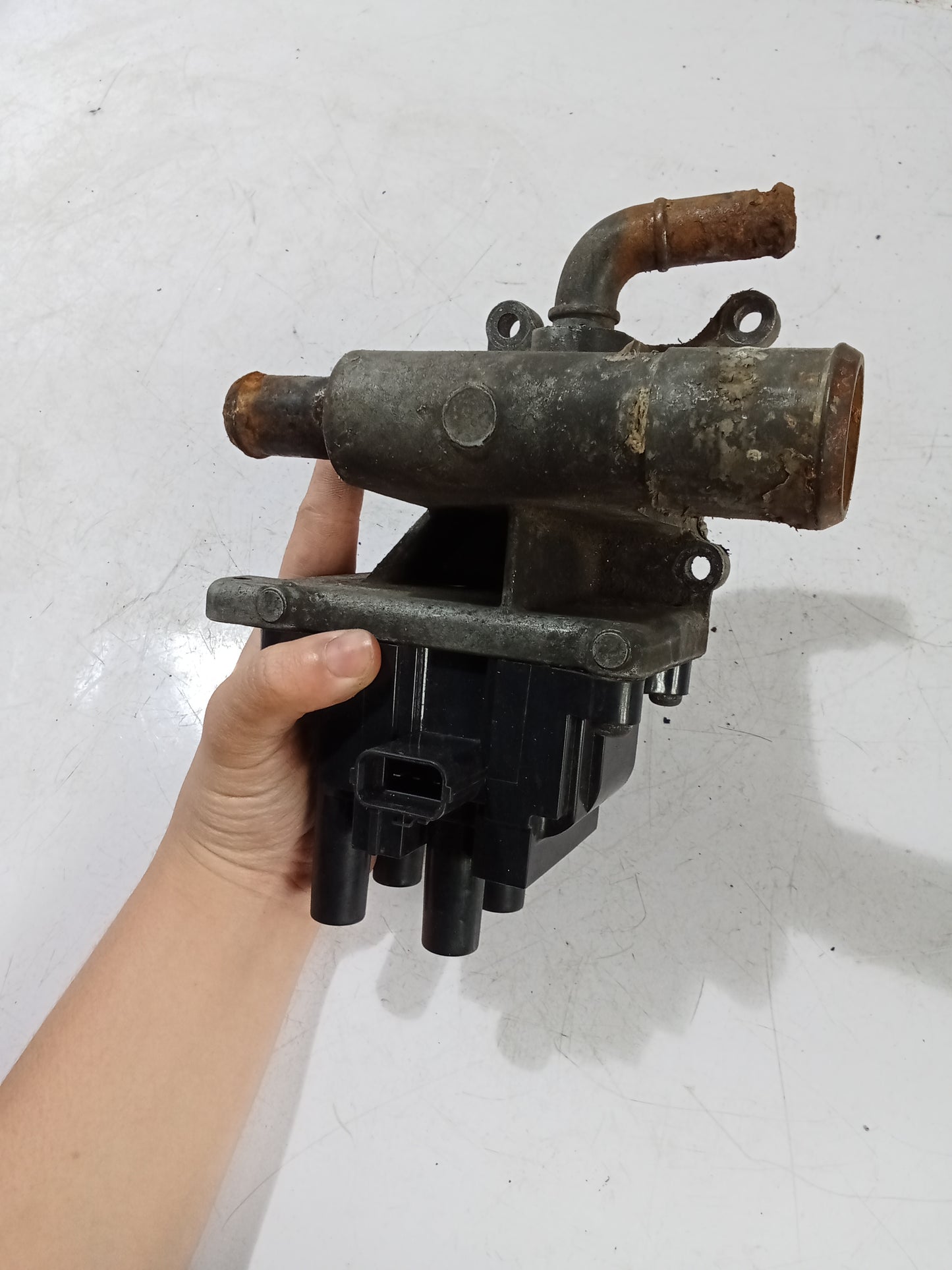 Thermostat Housing w/ Coilpack