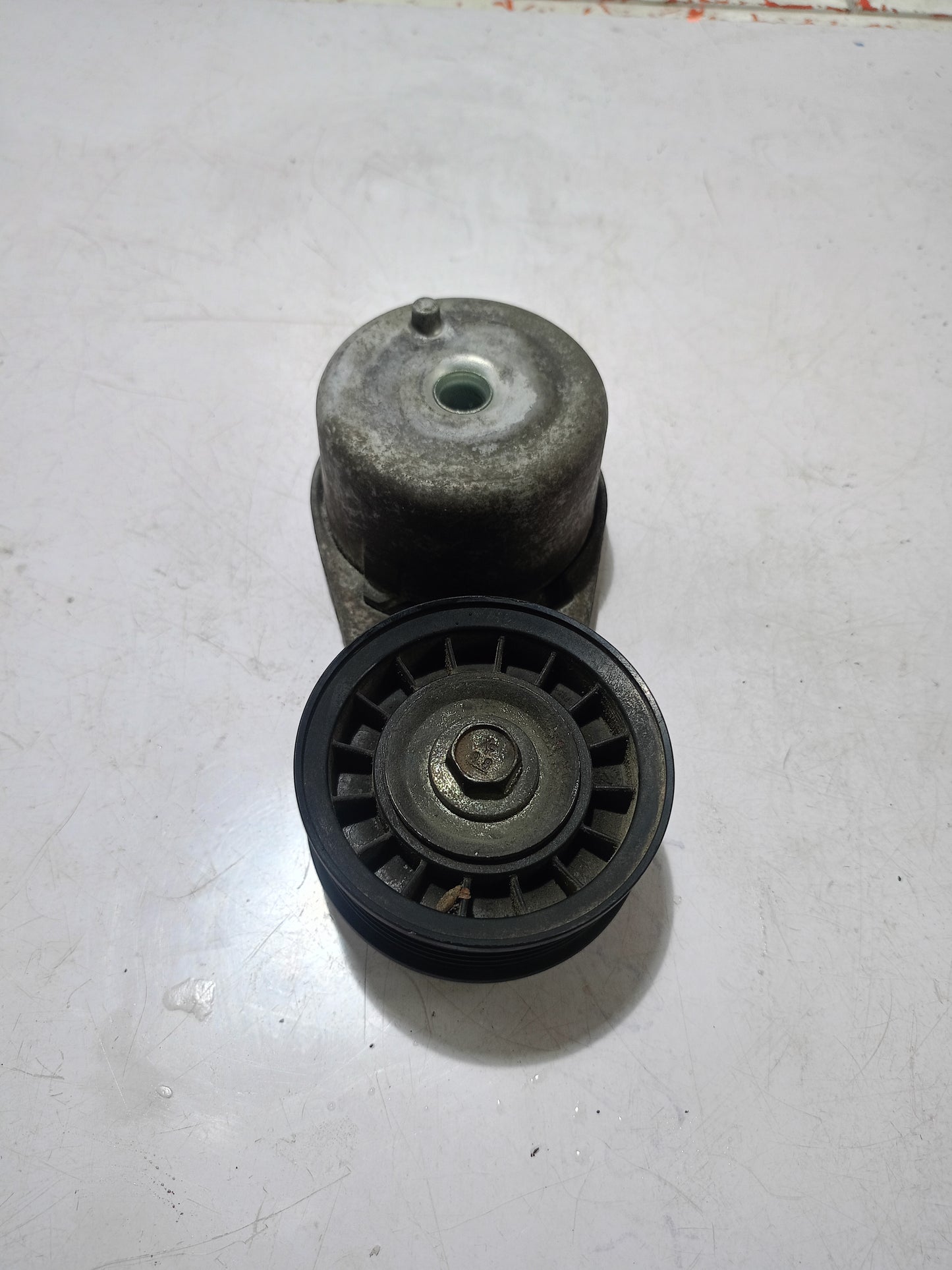 Belt Tensioner | Explorer Eddie Bauer