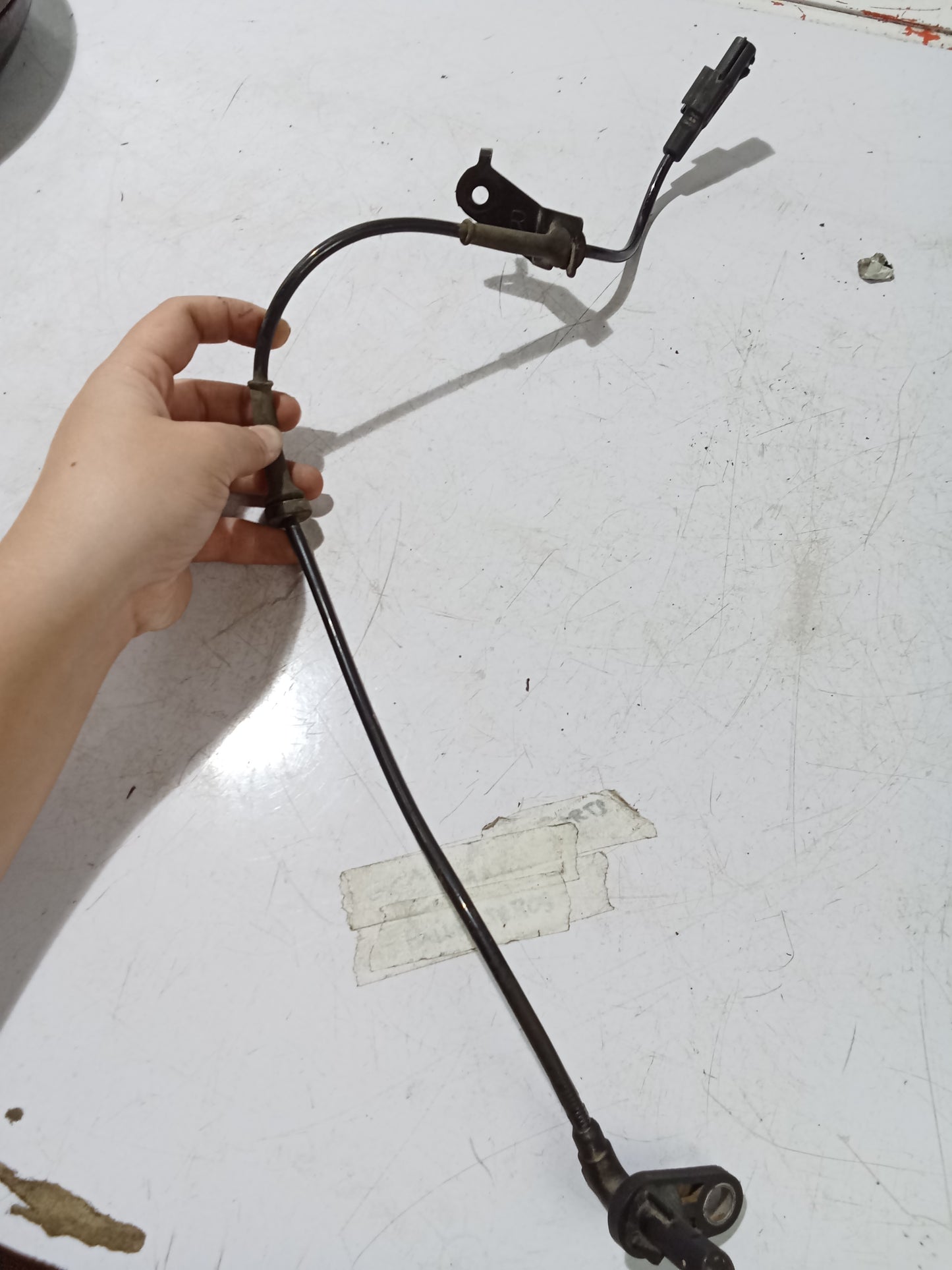 ABS Sensor P/S | Nissan Almera