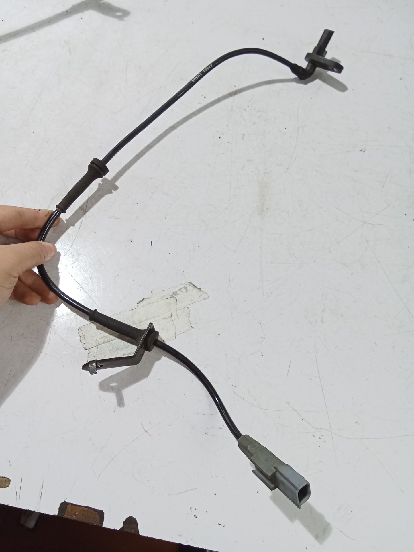 ABS Sensor D/S | Nissan Almera