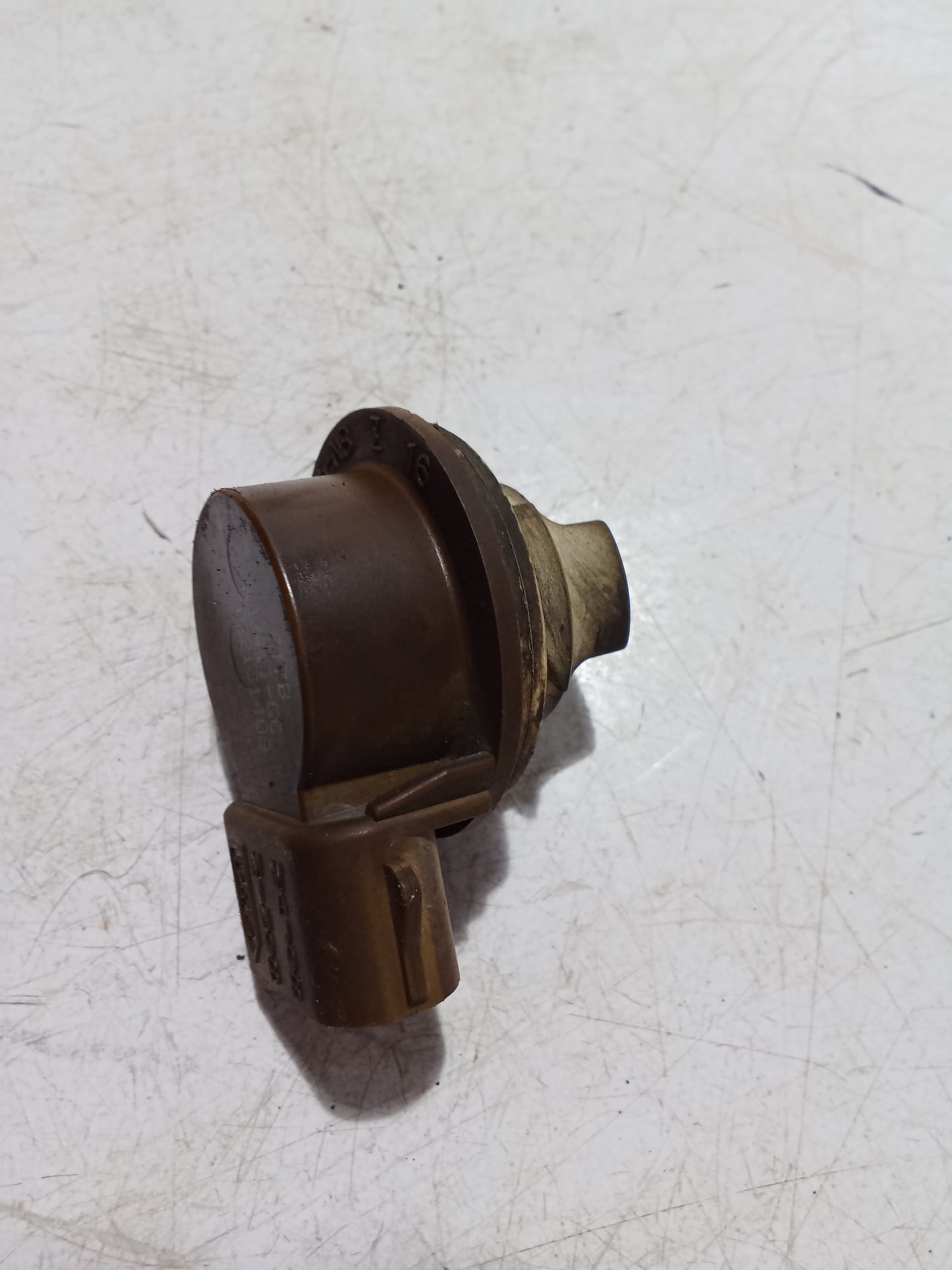 Bulb Holder Socket | Ford Expedition