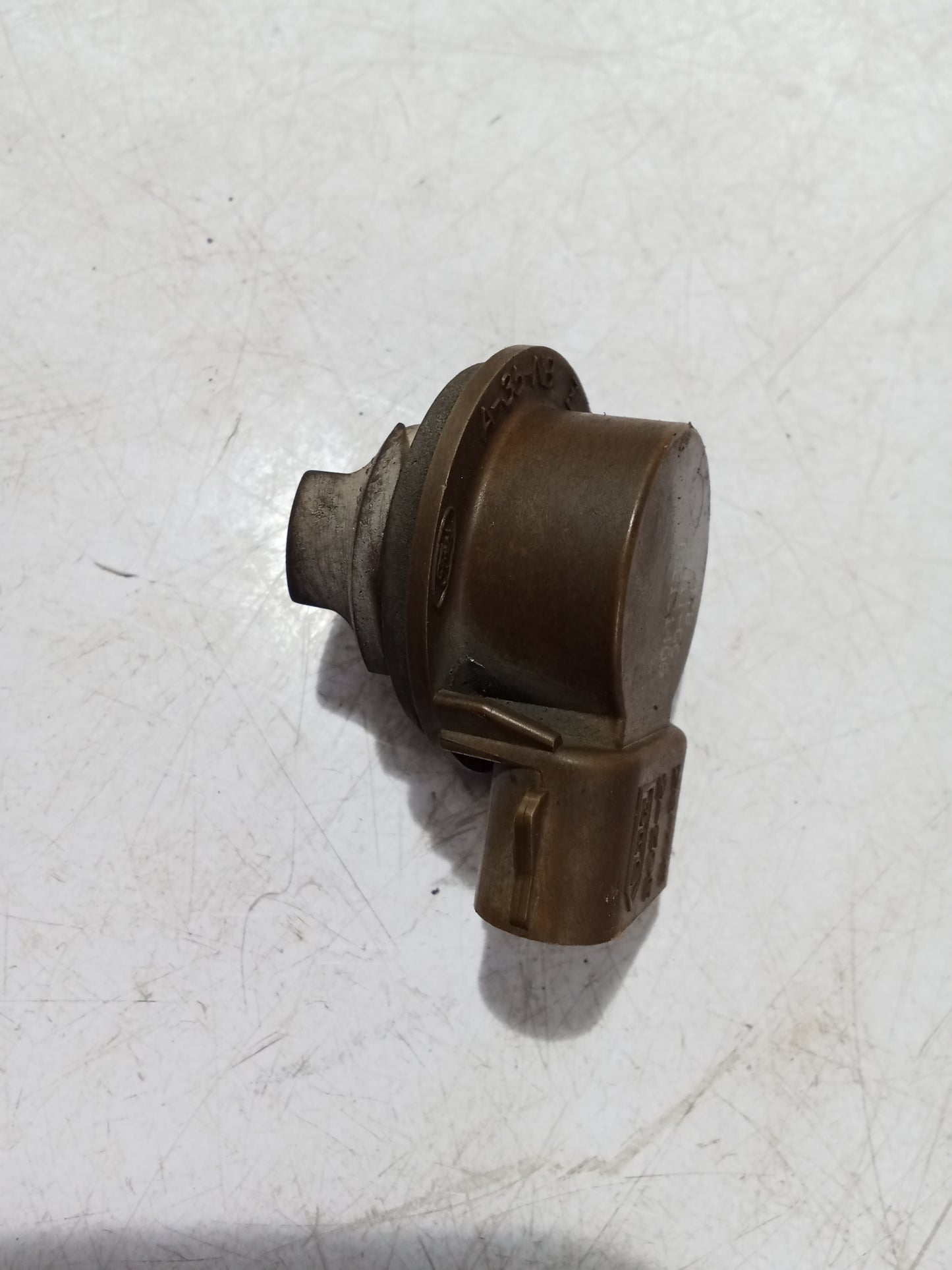 Bulb Holder Socket | Ford Expedition