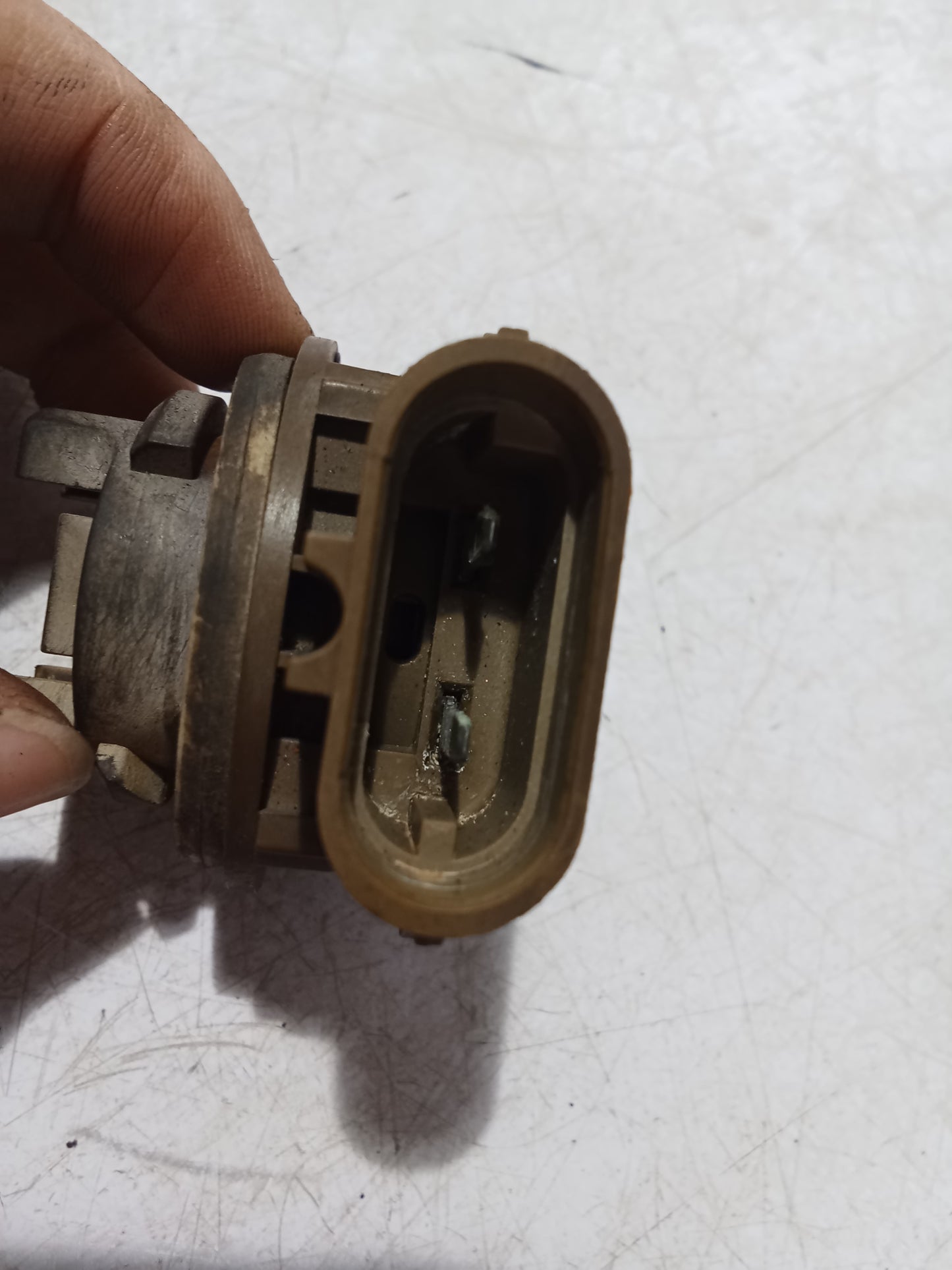 Bulb Holder Socket | Ford Expedition
