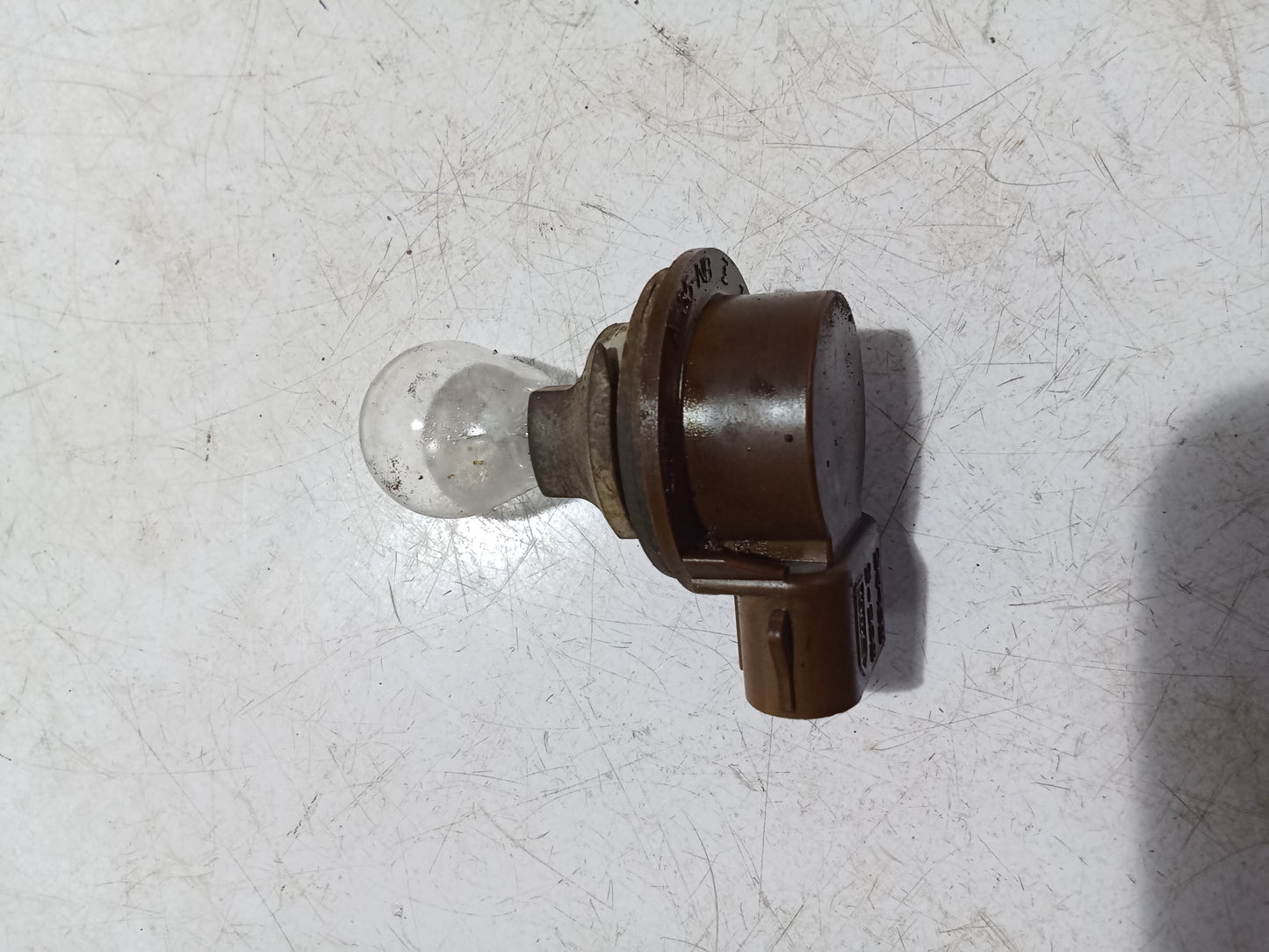 Bulb Holder Socket w Bulb | Ford Expedition