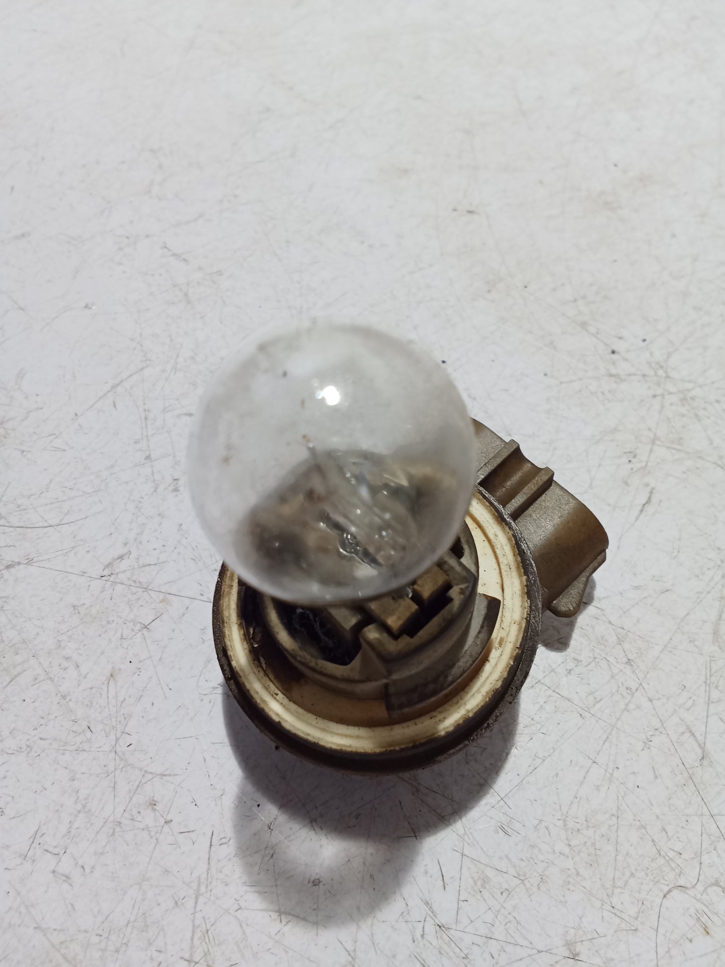Bulb Holder Socket w Bulb | Ford Expedition