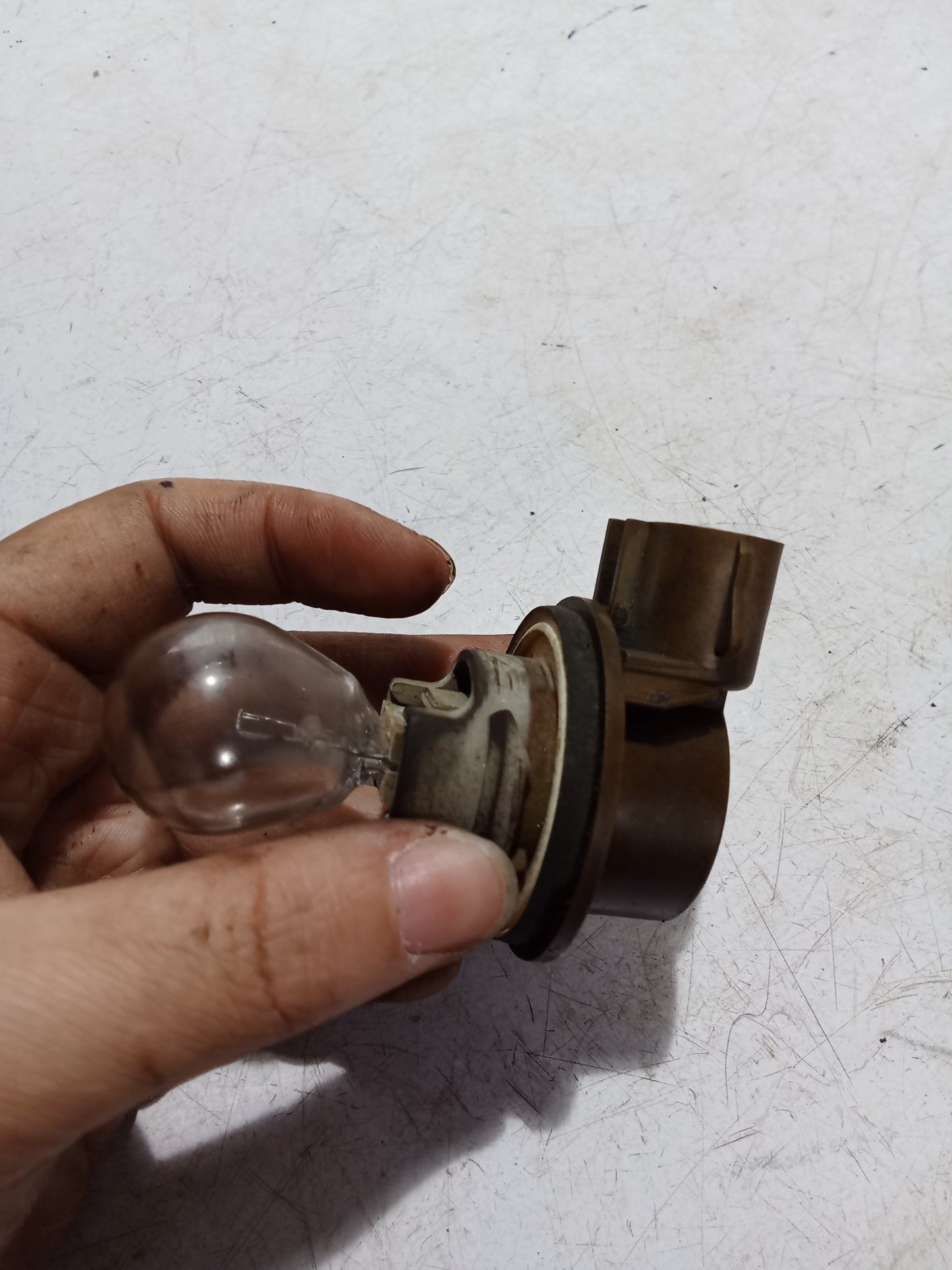 Bulb Holder Socket w Bulb | Ford Expedition