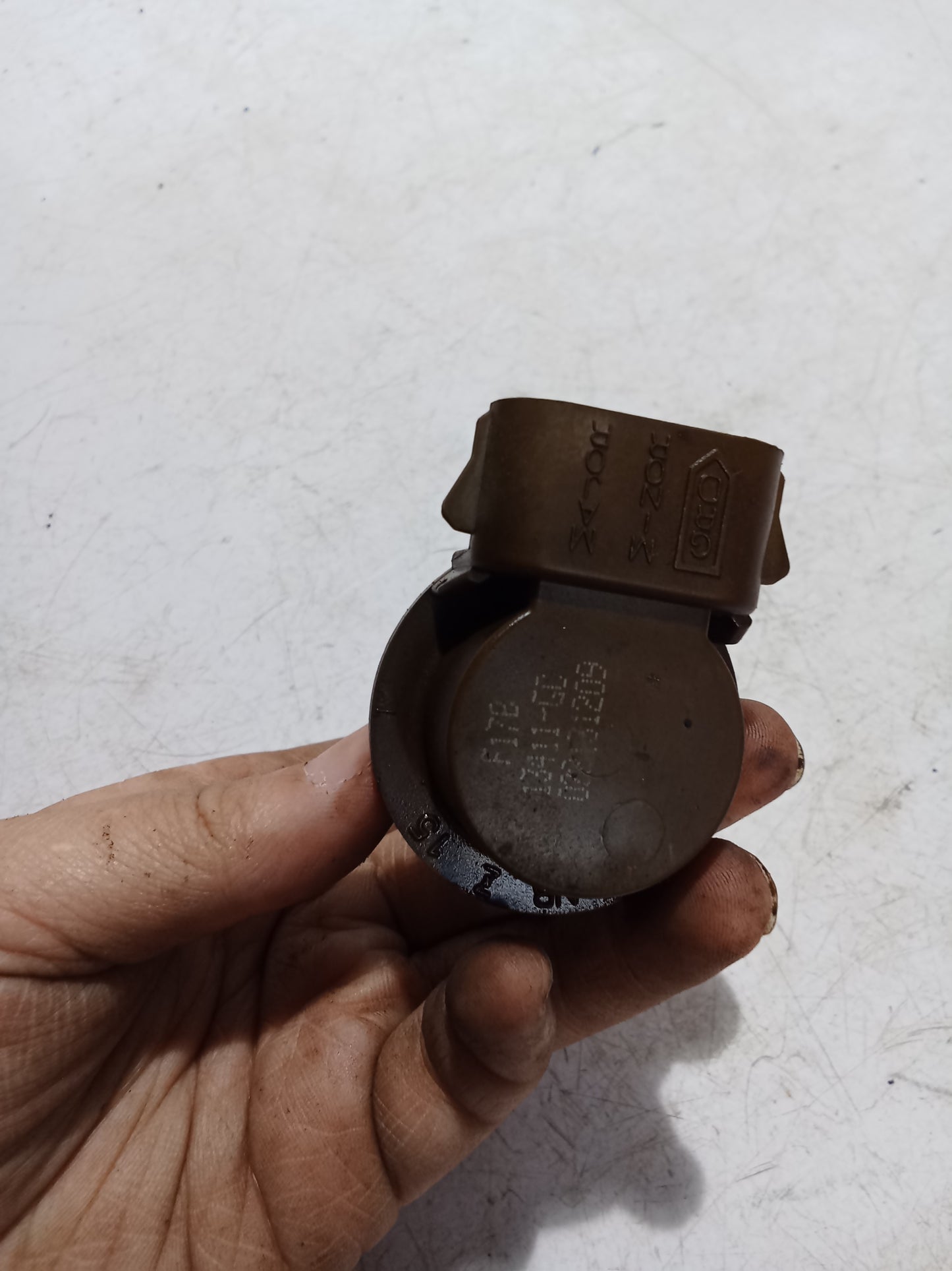 Bulb Holder Socket w Bulb | Ford Expedition