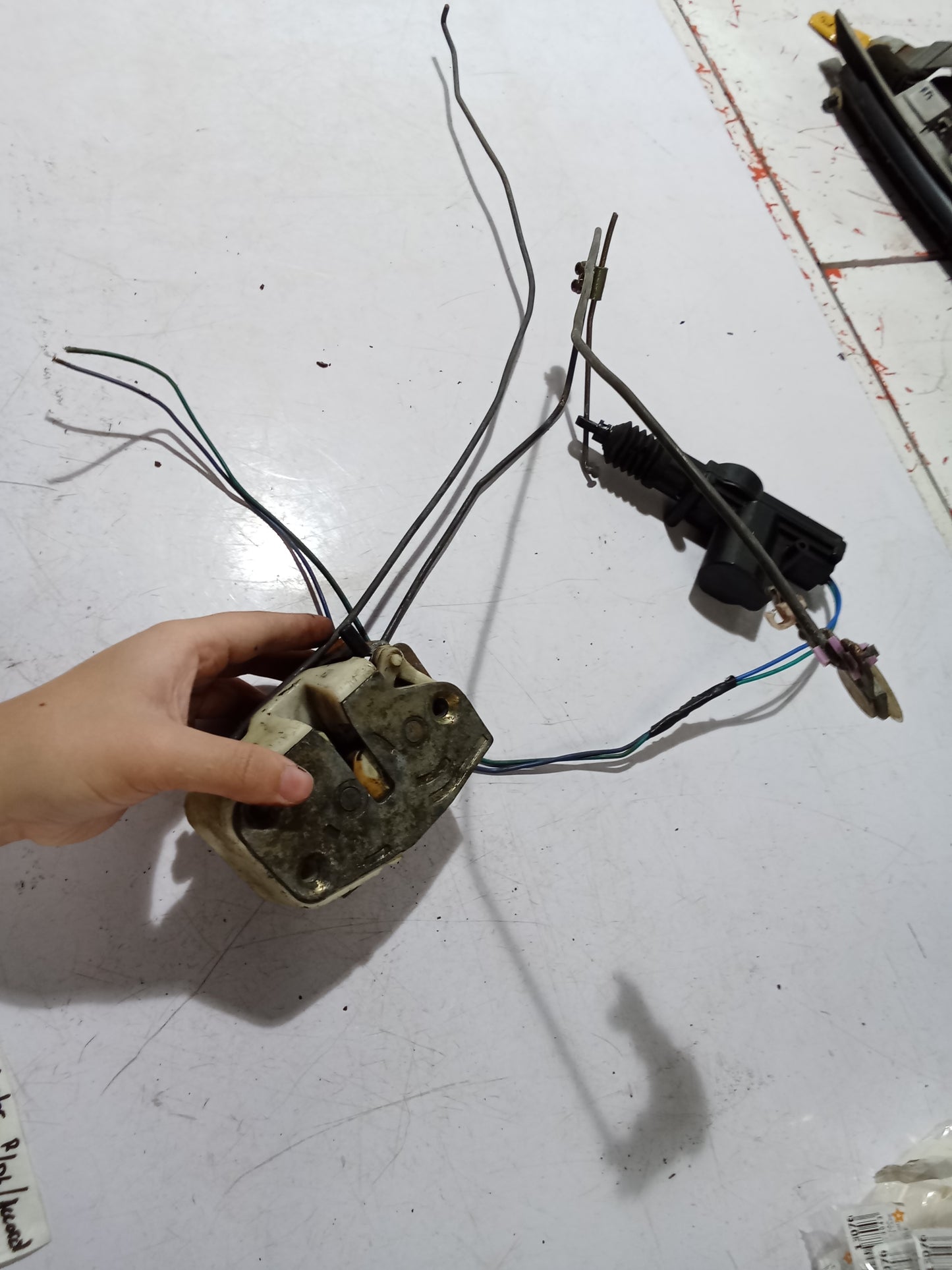 Door Lock Actuator R/D/S | Honda Accord