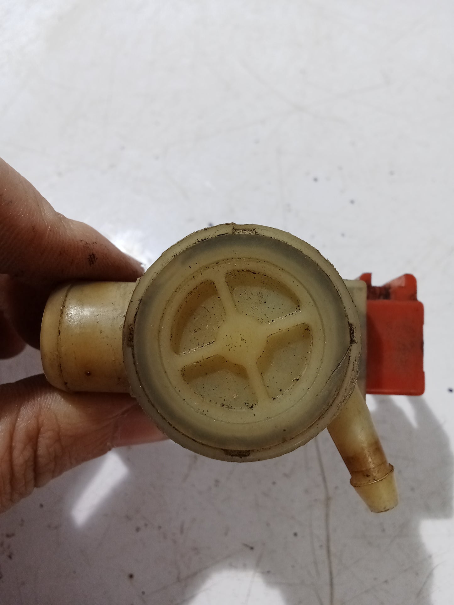 Windshield Water Pump | Honda Accord
