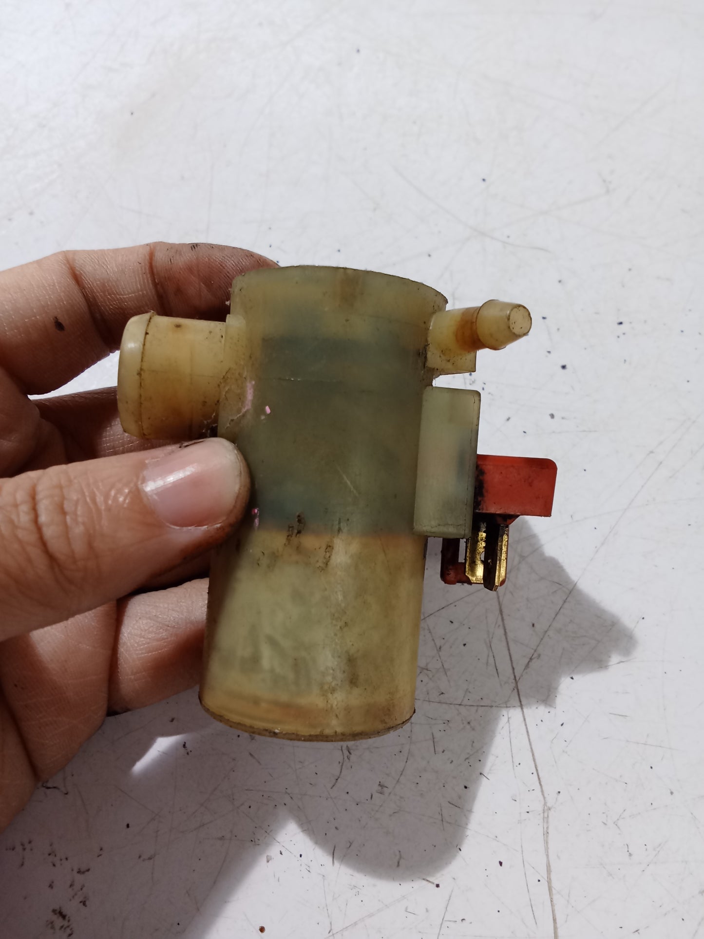 Windshield Water Pump | Honda Accord
