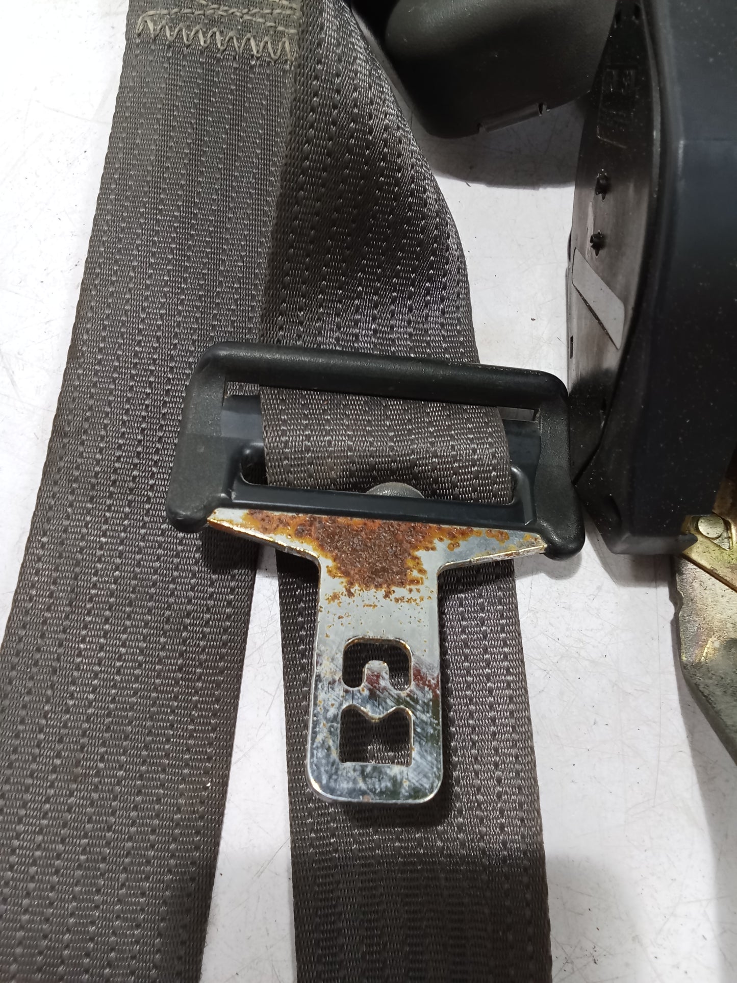 Seat Belt F/D/S | Ford Sportrac