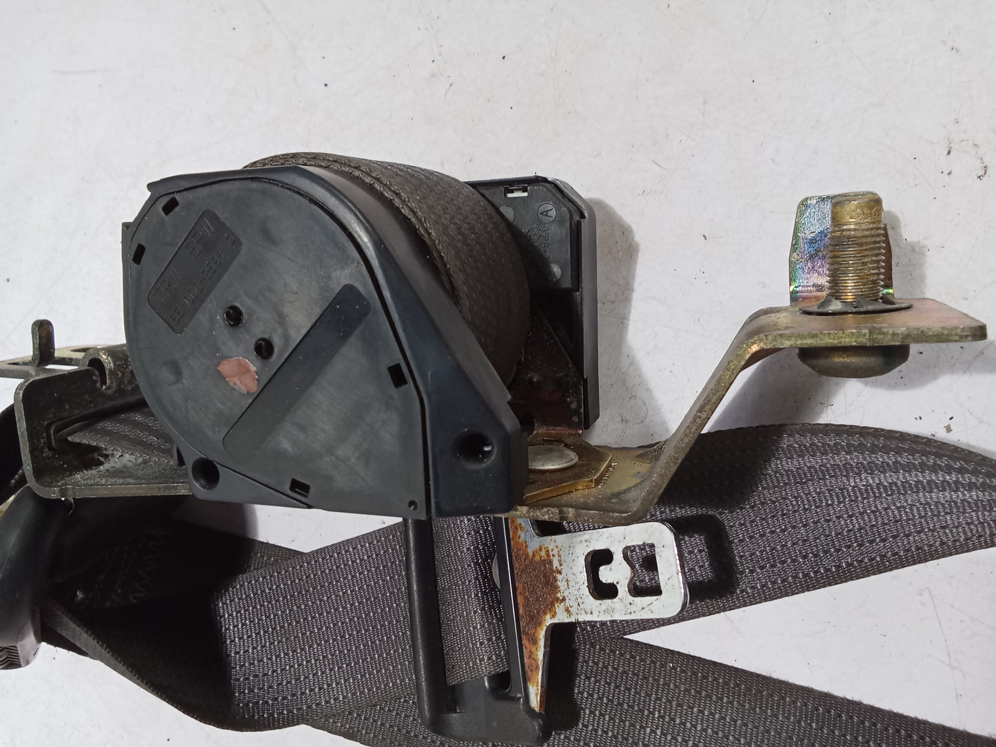 Seat Belt F/D/S | Ford Sportrac